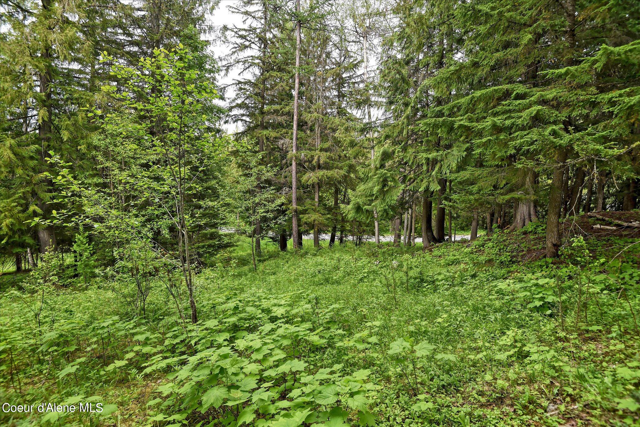 Lot A5 S Idaho Club Dr, Sandpoint, Idaho image 30
