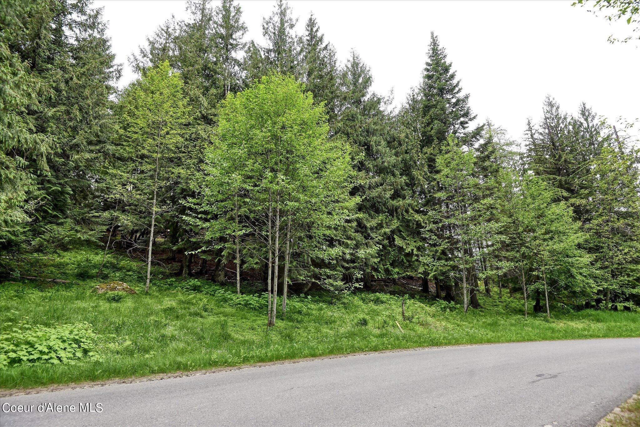 Lot A5 S Idaho Club Dr, Sandpoint, Idaho image 28