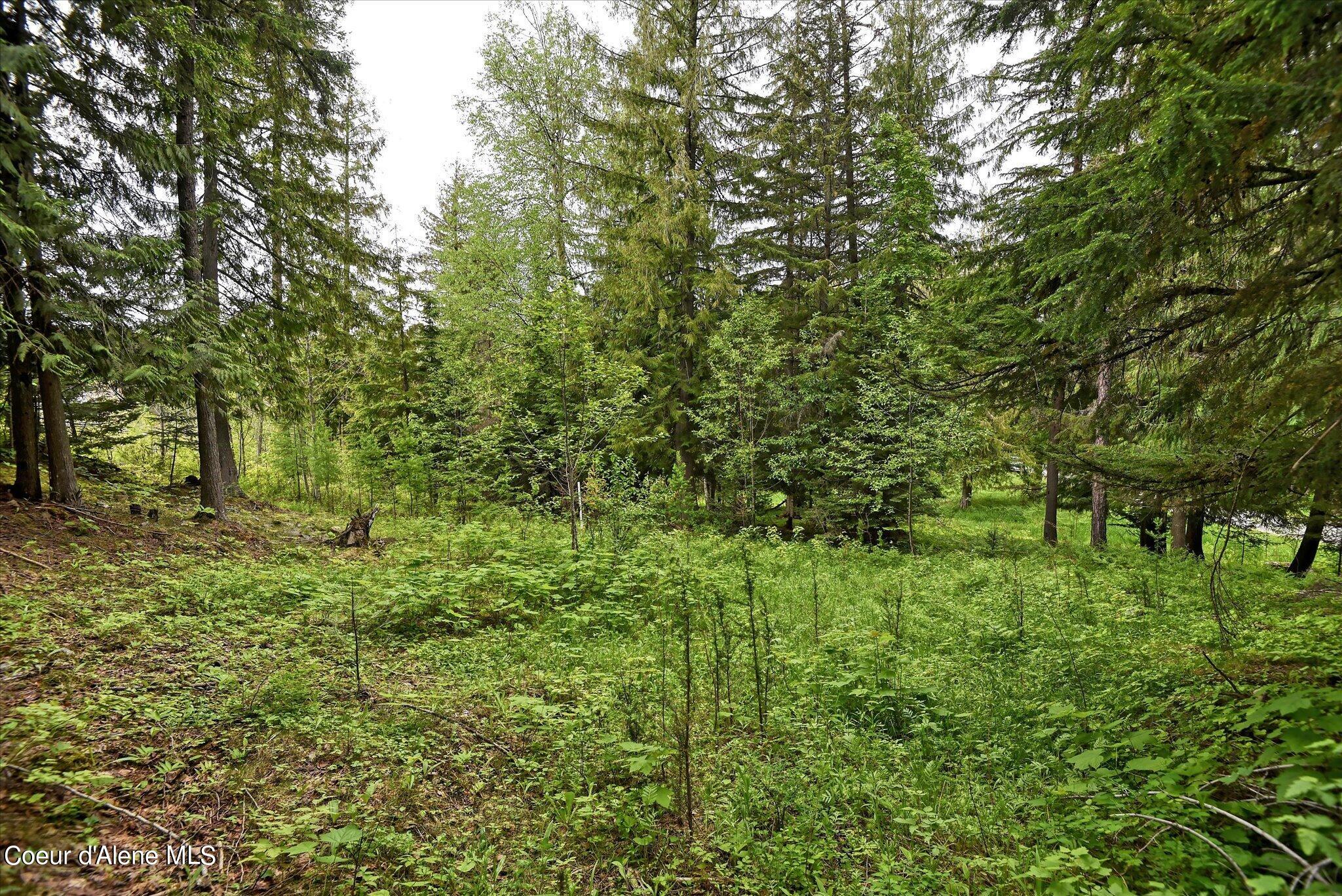 Lot A5 S Idaho Club Dr, Sandpoint, Idaho image 32