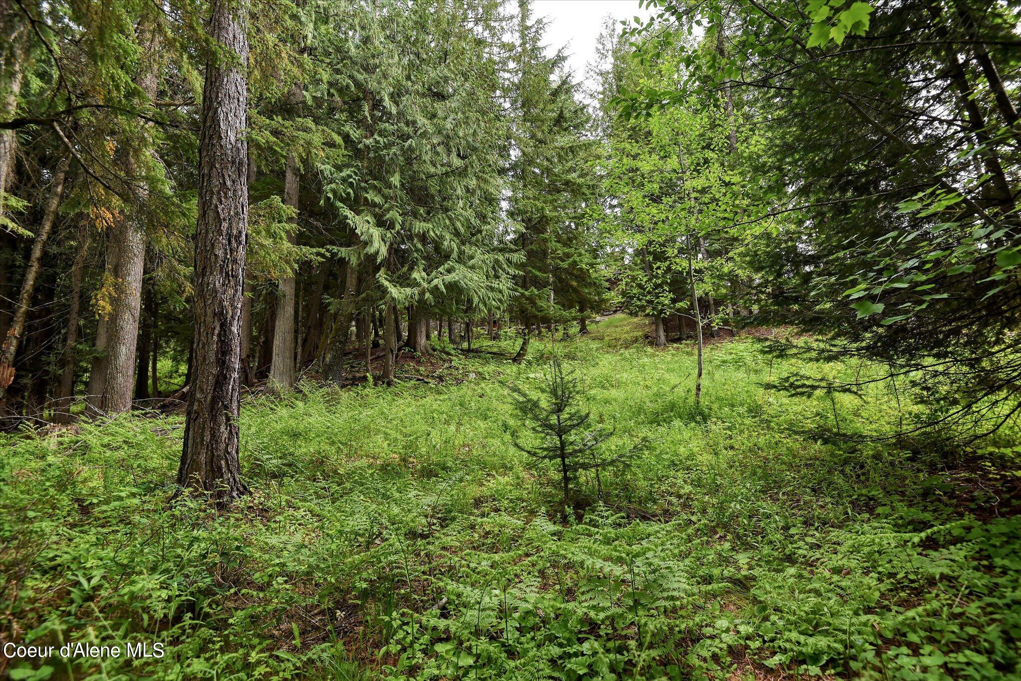 Lot A5 S Idaho Club Dr, Sandpoint, Idaho image 29