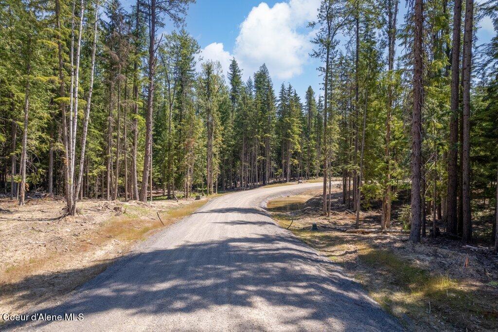 Lot 5 Brown Bear Dr, Nordman, Idaho image 12