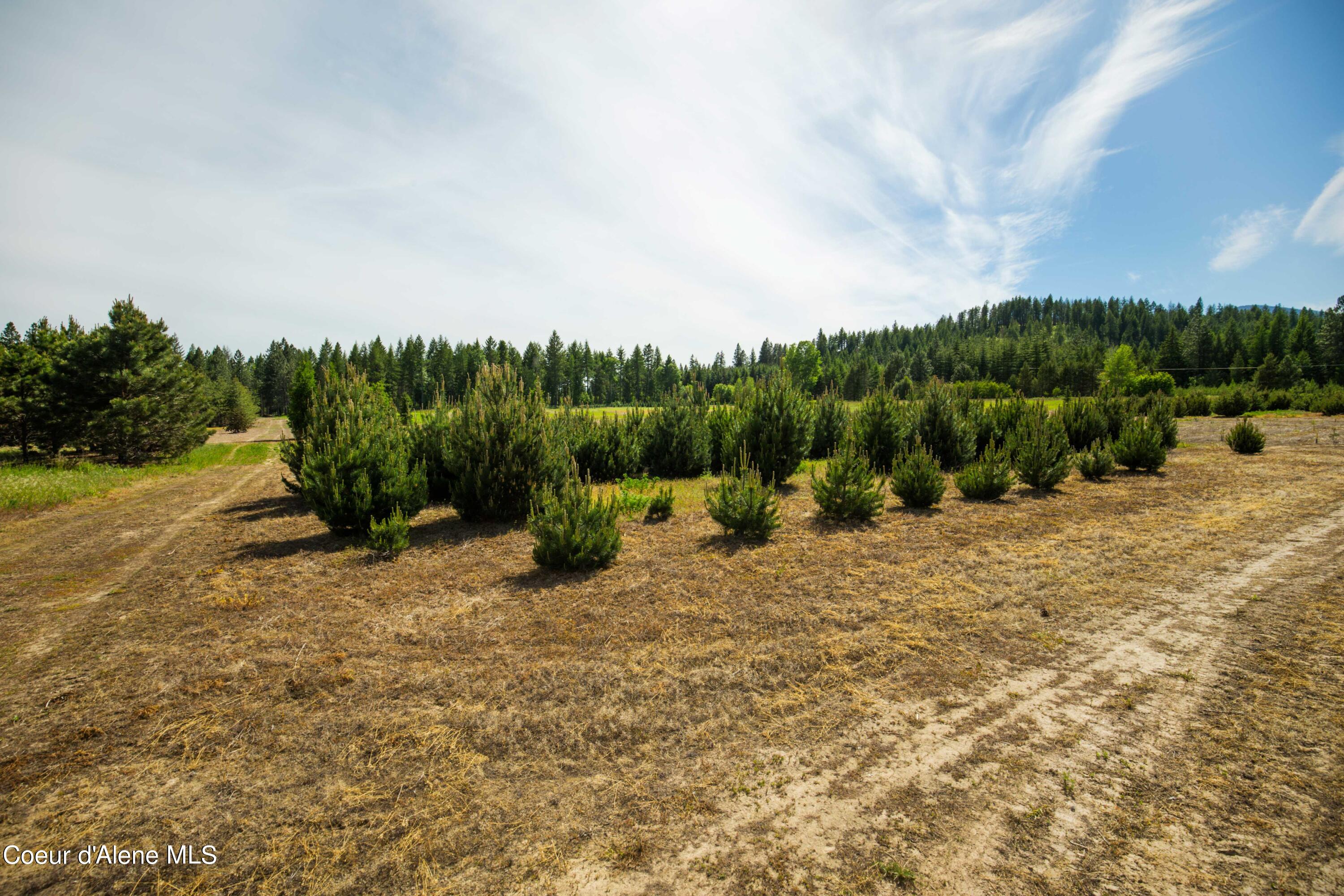 NNA Holmes Rd, Bonners Ferry, Idaho image 6