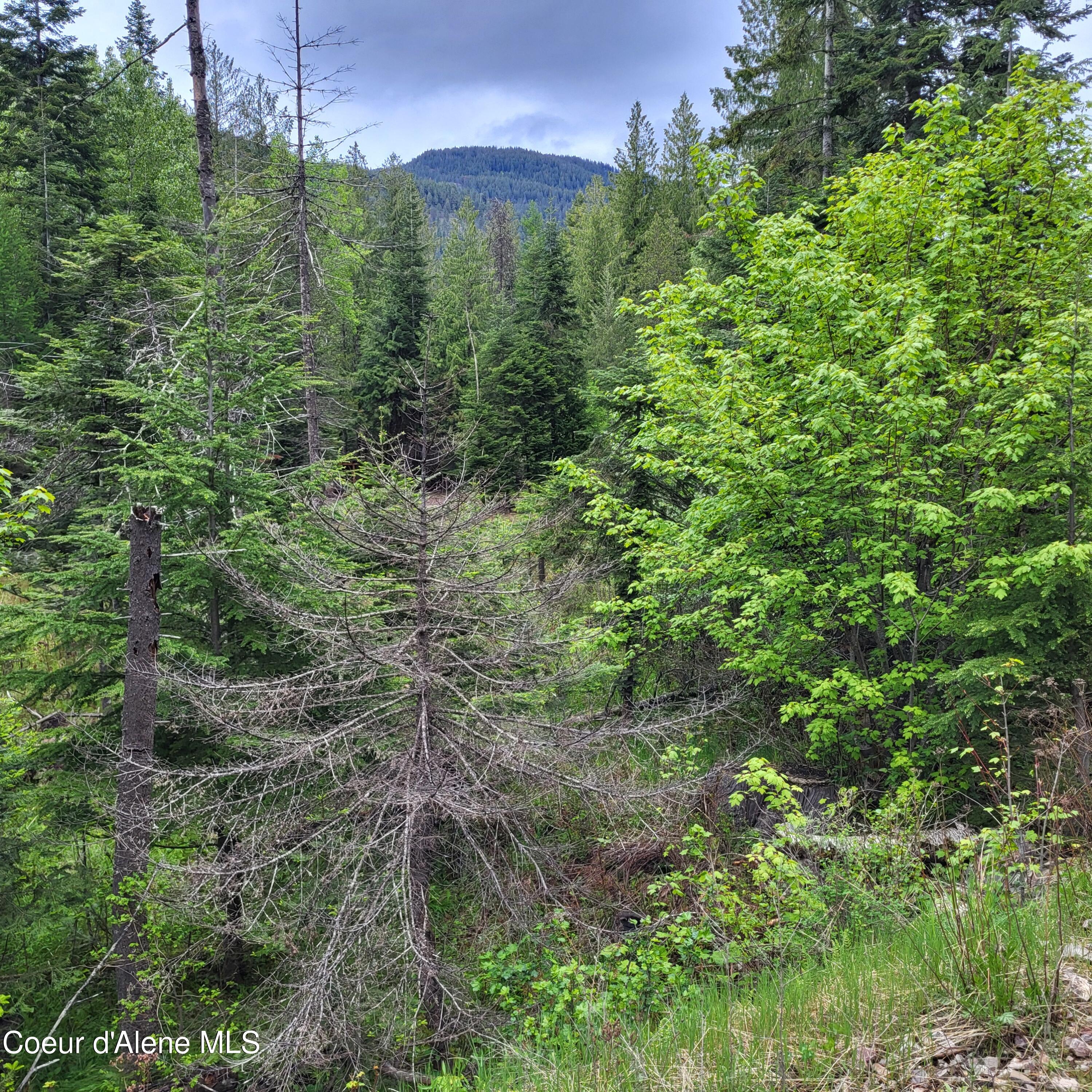 NNA Silver Ave, Bayview, Idaho image 6