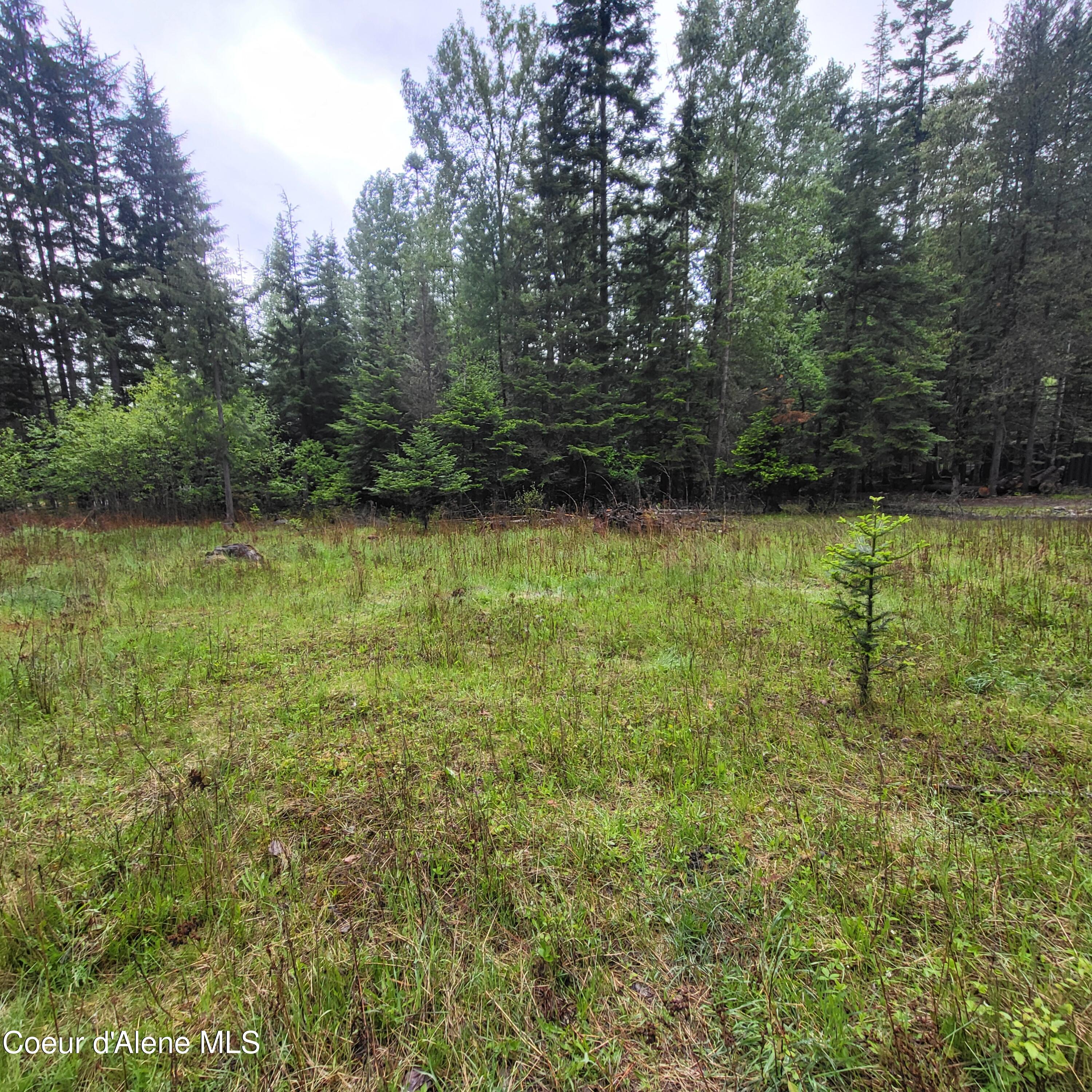 NNA Silver Ave, Bayview, Idaho image 9