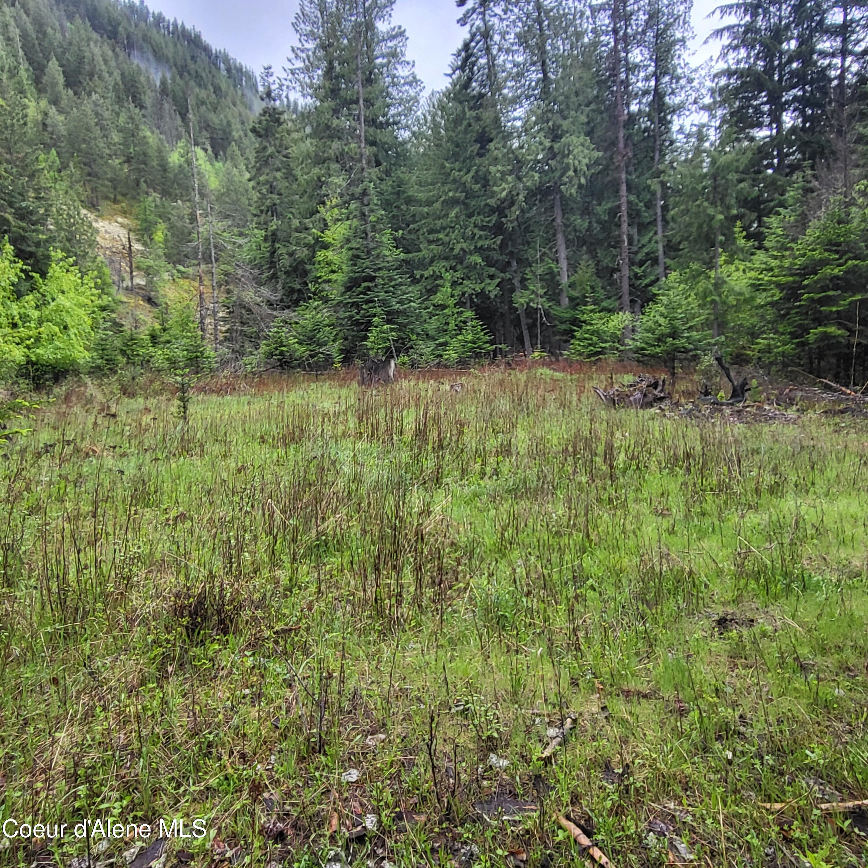 NNA Silver Ave, Bayview, Idaho image 8