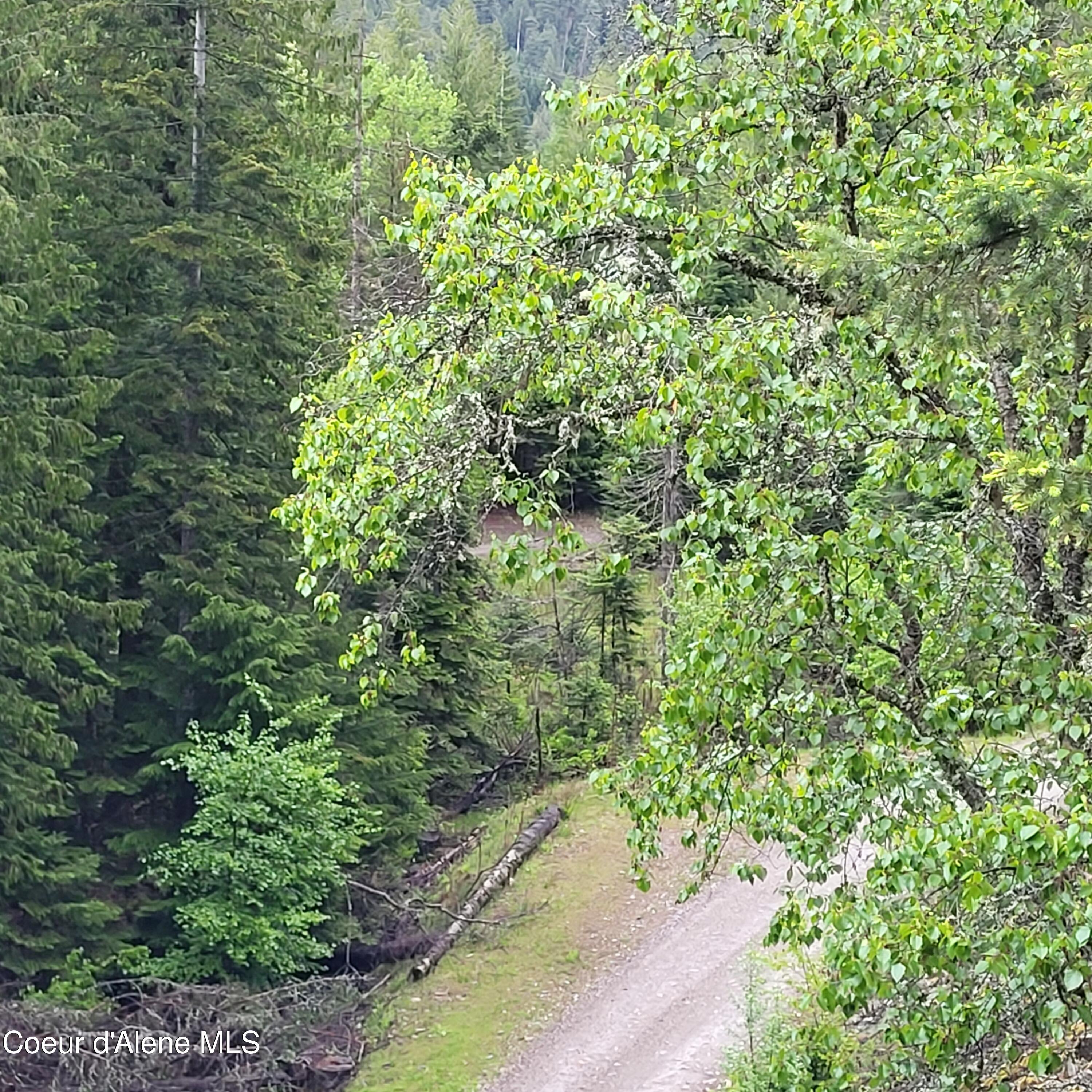 NNA Silver Ave, Bayview, Idaho image 7