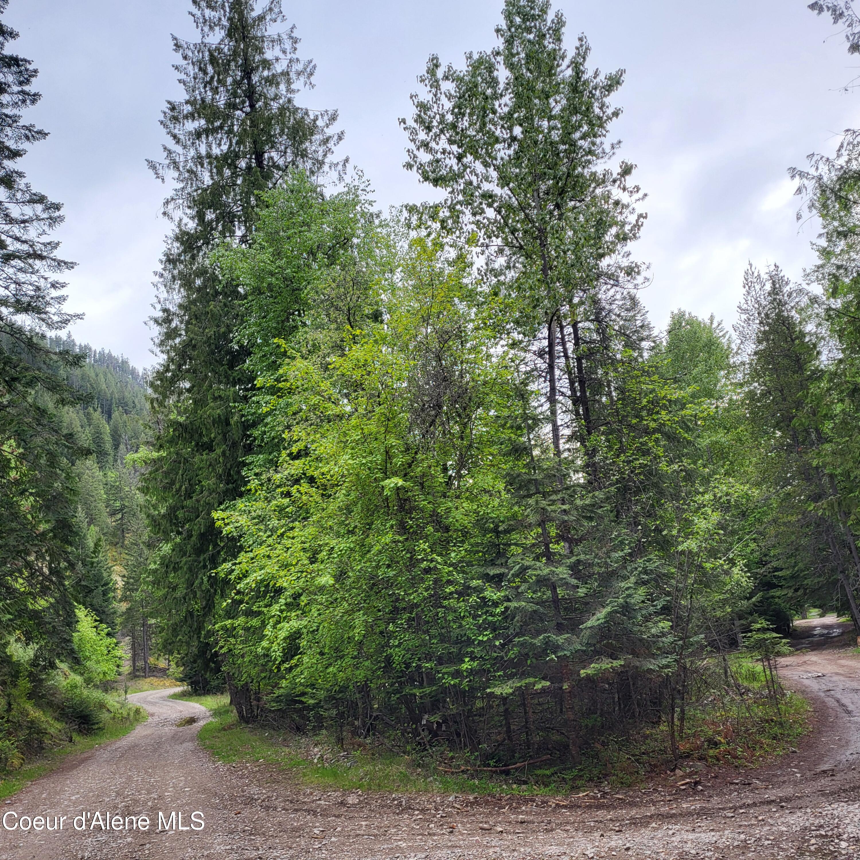 NNA Silver Ave, Bayview, Idaho image 5