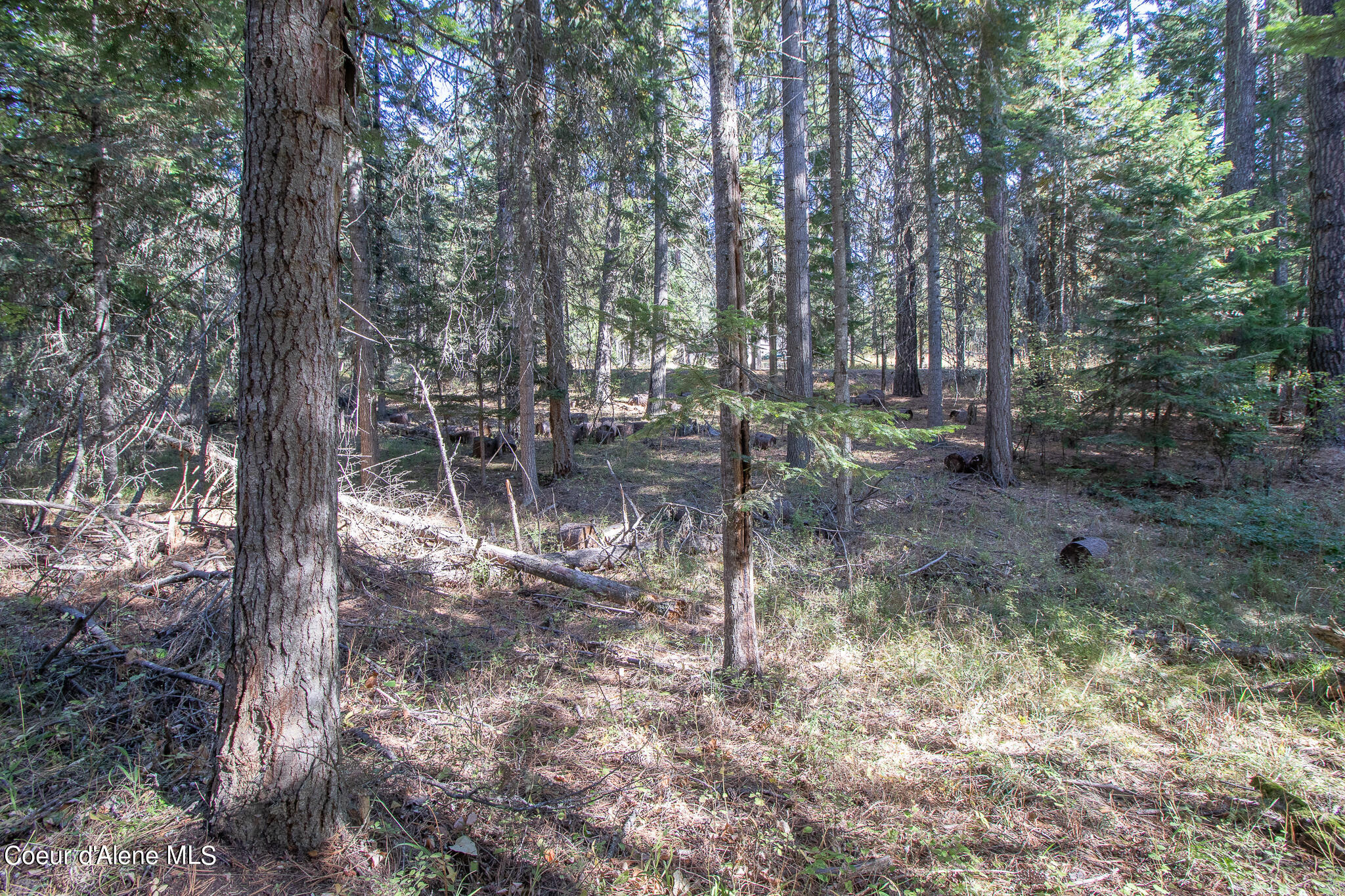 NKA E Hayden Lake Rd, Hayden, Texas image 18