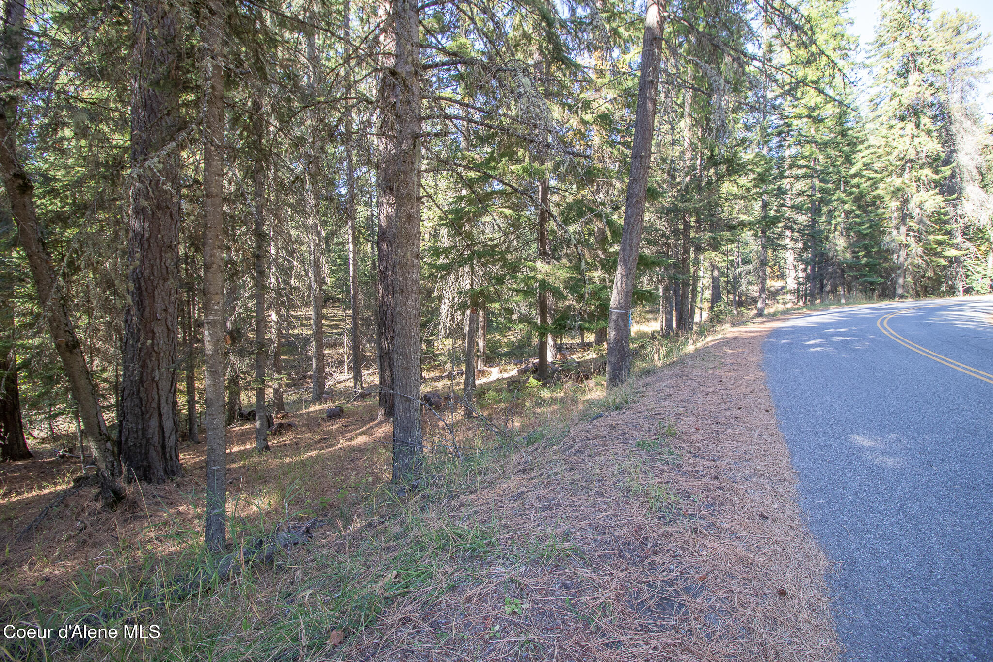 NKA E Hayden Lake Rd, Hayden, Texas image 11