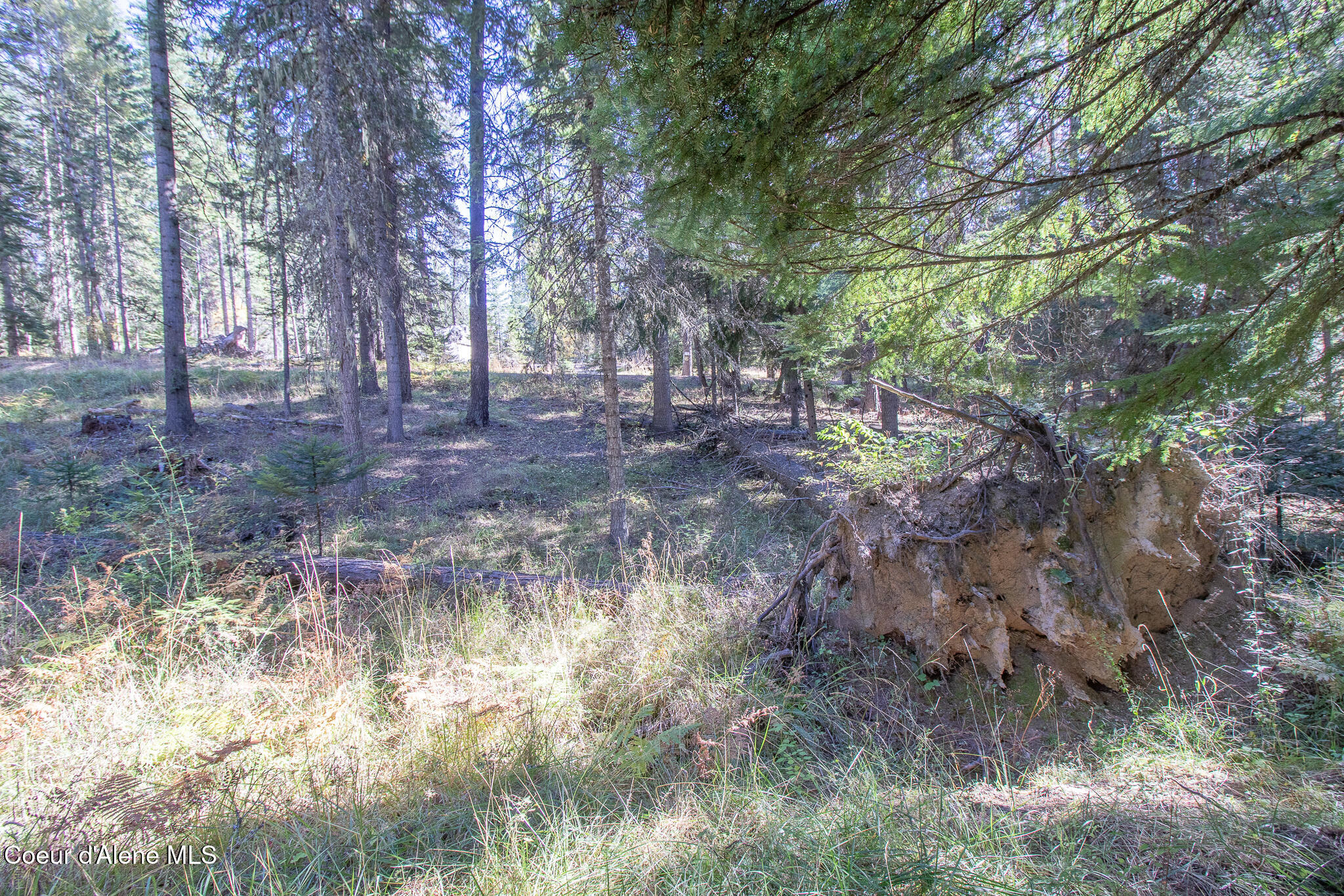 NKA E Hayden Lake Rd, Hayden, Texas image 3