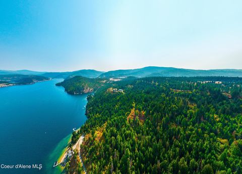 Photo of 5727 ODELIN Ln, Harrison, ID 83833 (MLS # 26-3814)