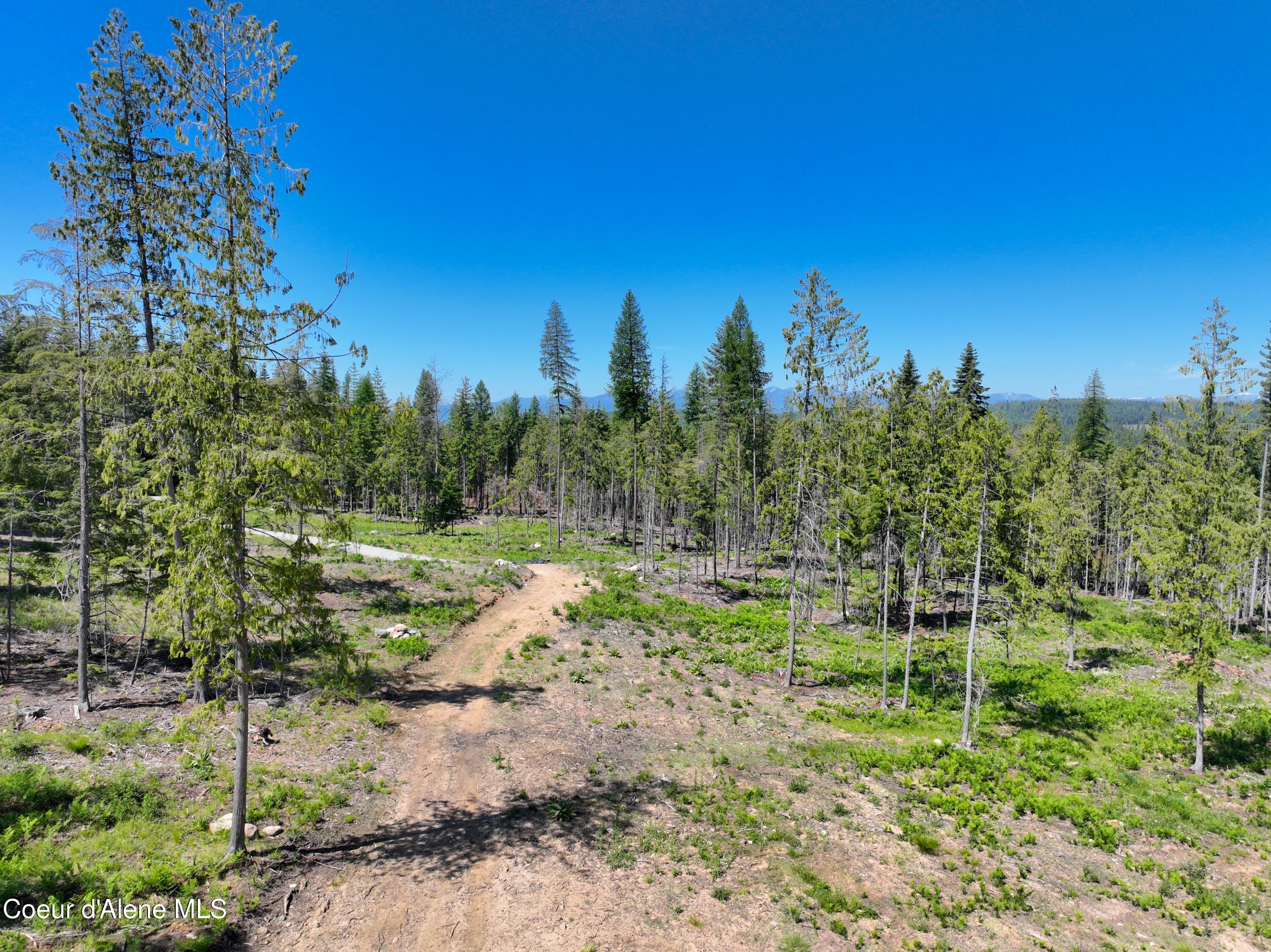 NNA Moonfire Rd, Sandpoint, Idaho image 6