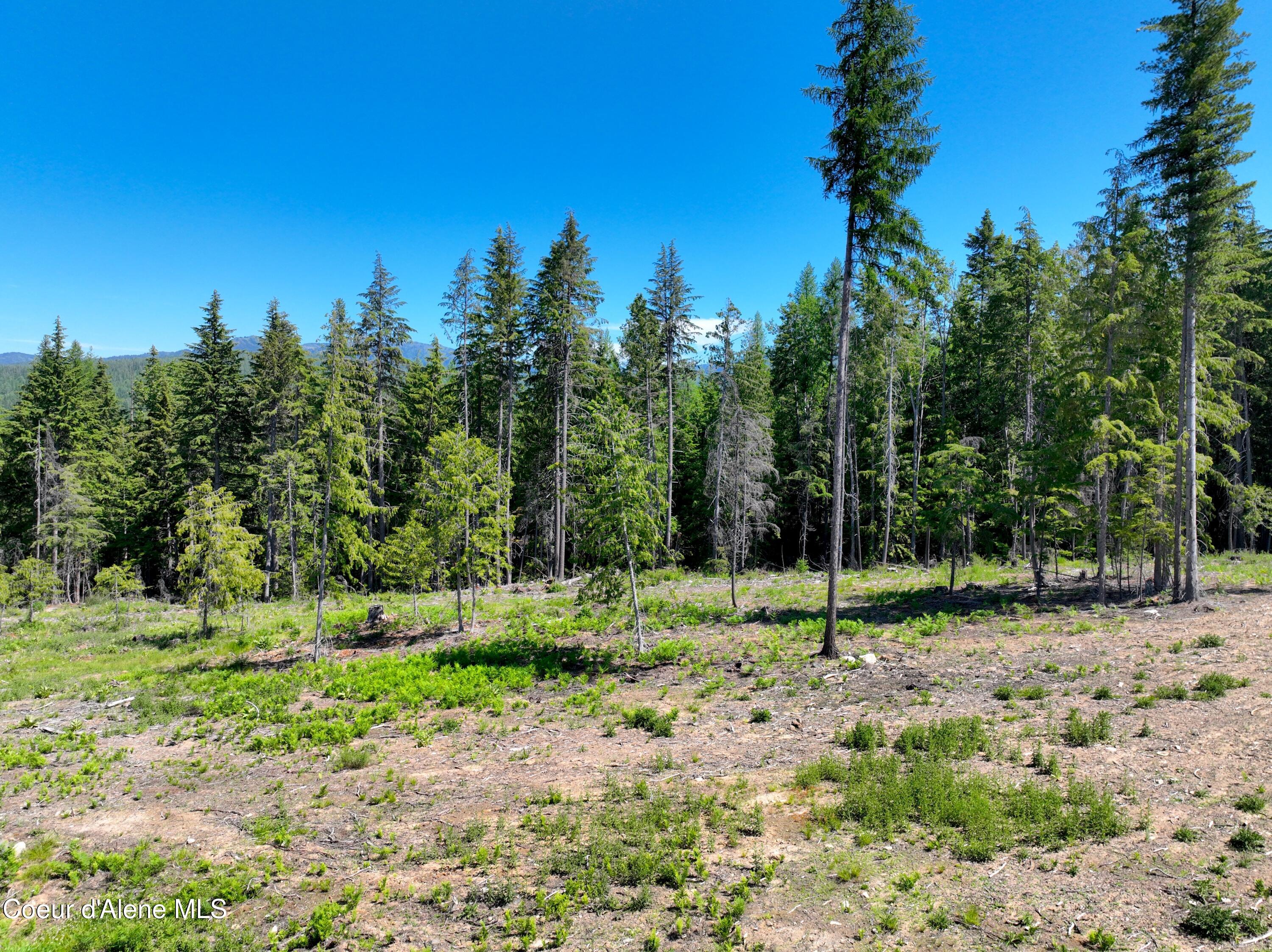 NNA Moonfire Rd, Sandpoint, Idaho image 7