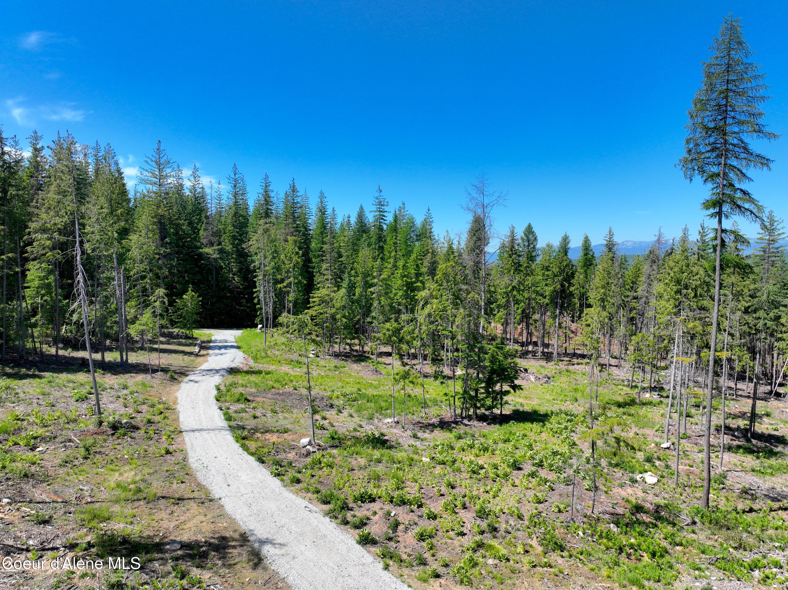 NNA Moonfire Rd, Sandpoint, Idaho image 5