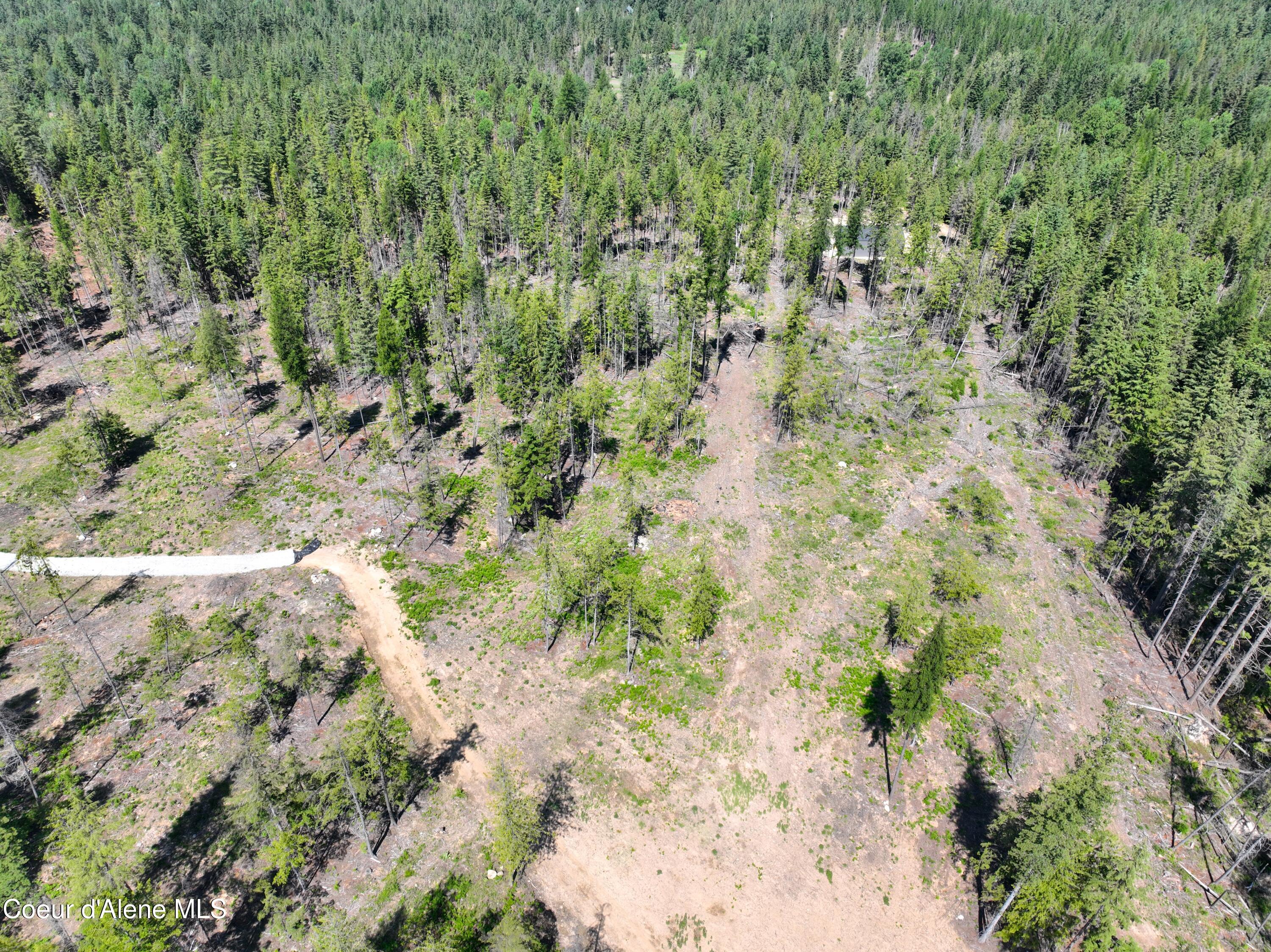 NNA Moonfire Rd, Sandpoint, Idaho image 4