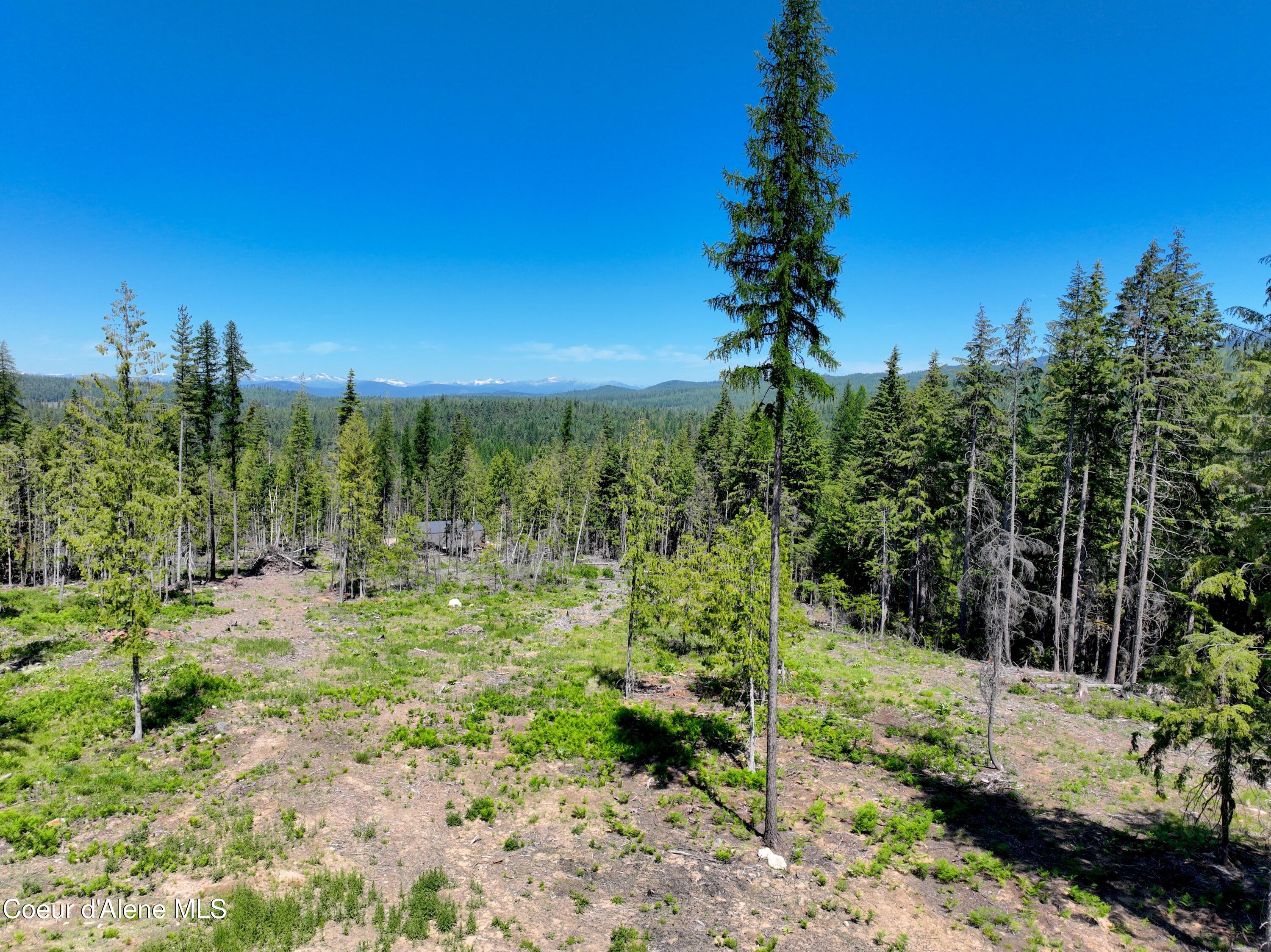 NNA Moonfire Rd, Sandpoint, Idaho image 8