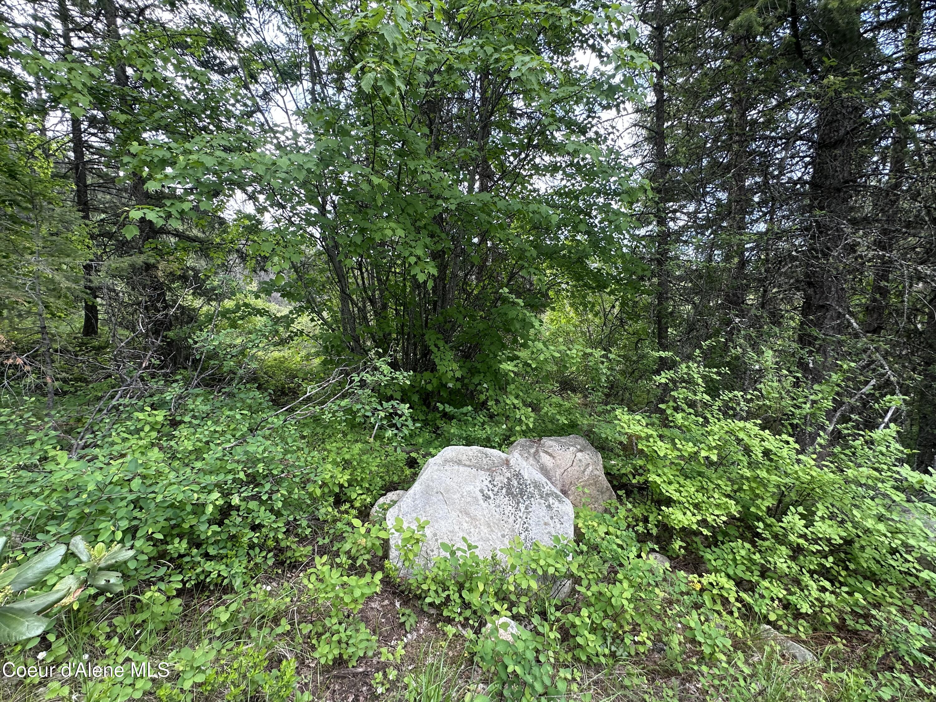 755 Twilight Ln, Sandpoint, Alaska image 17