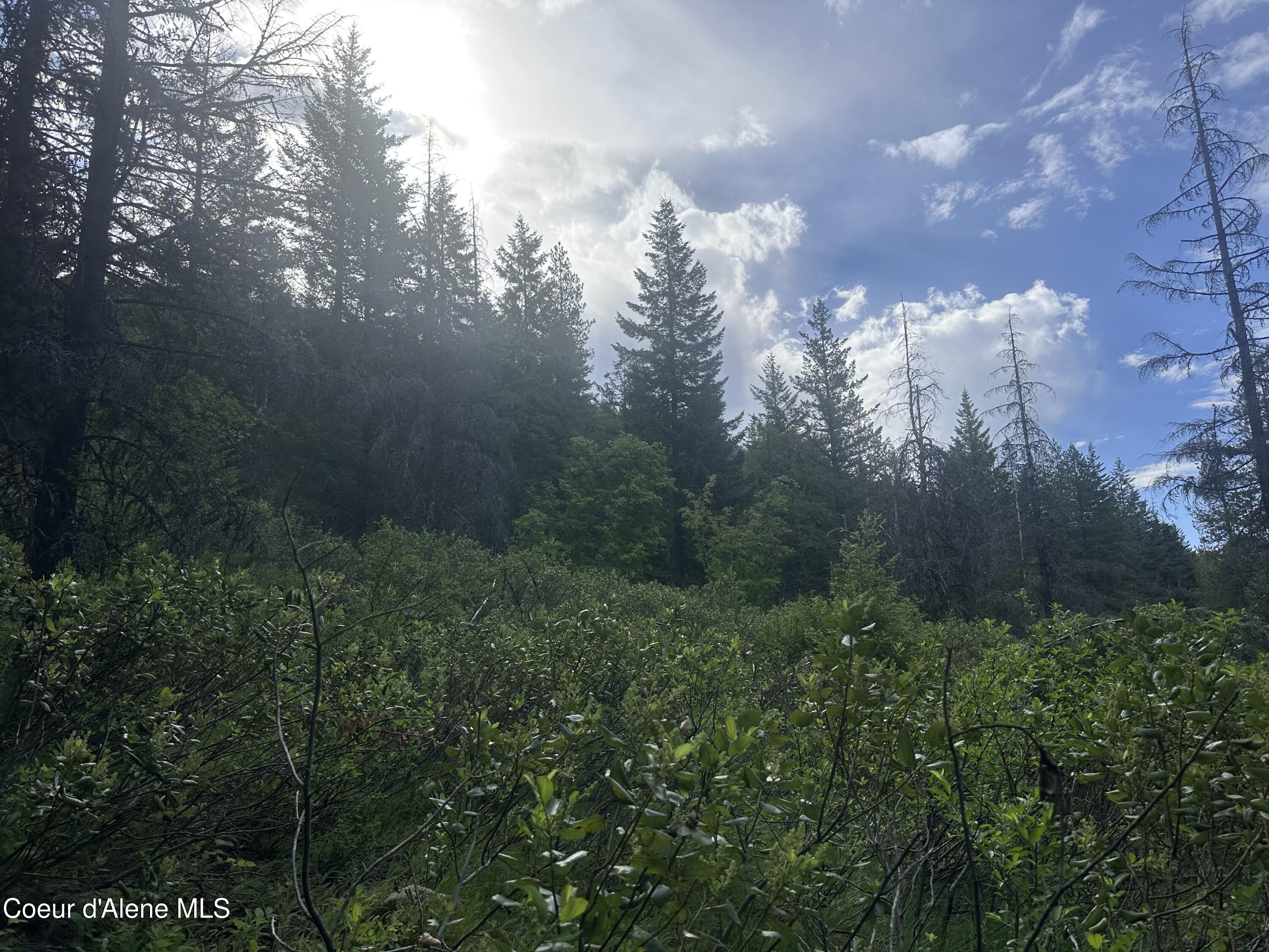 755 Twilight Ln, Sandpoint, Alaska image 18