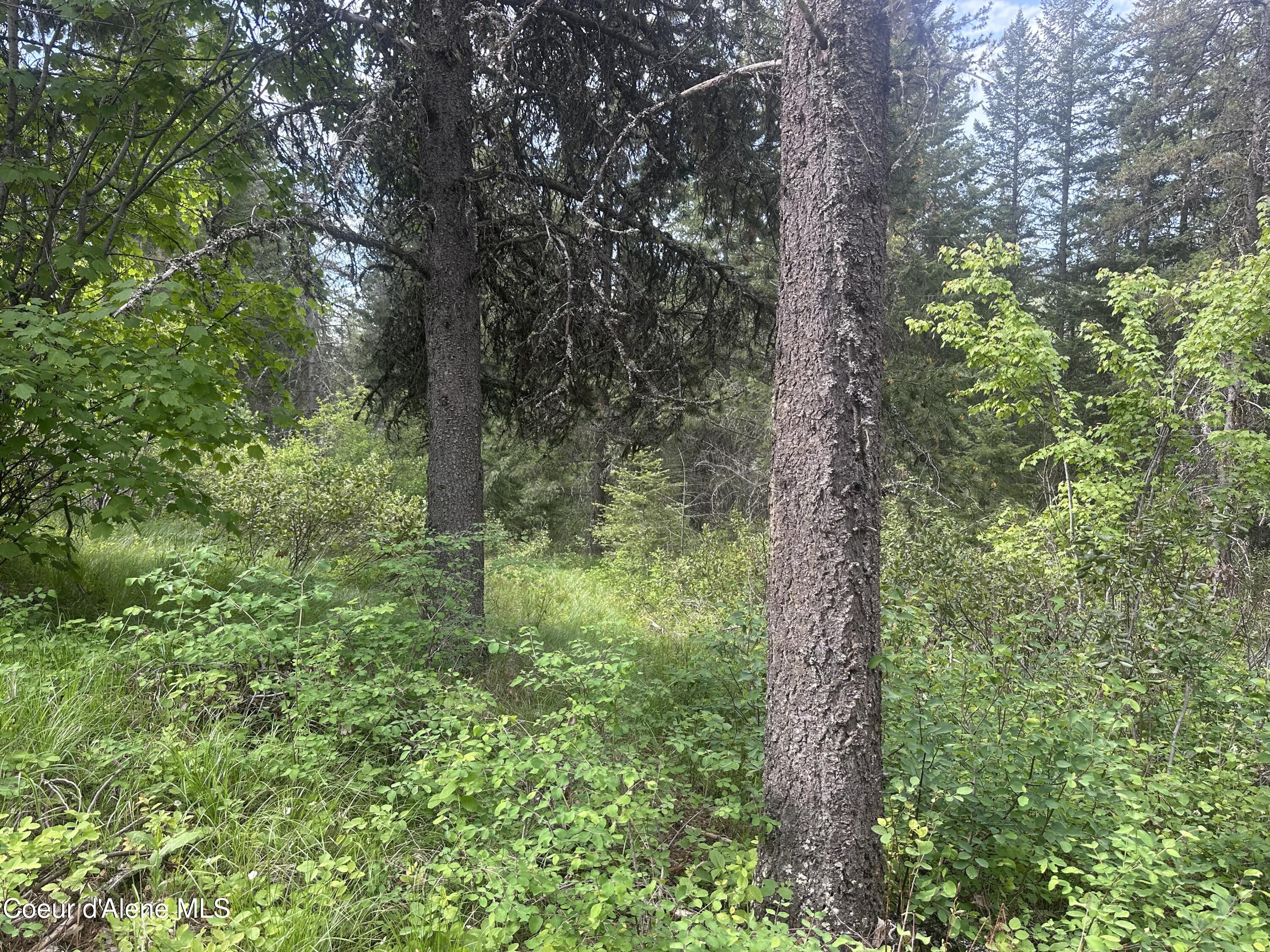 755 Twilight Ln, Sandpoint, Alaska image 2
