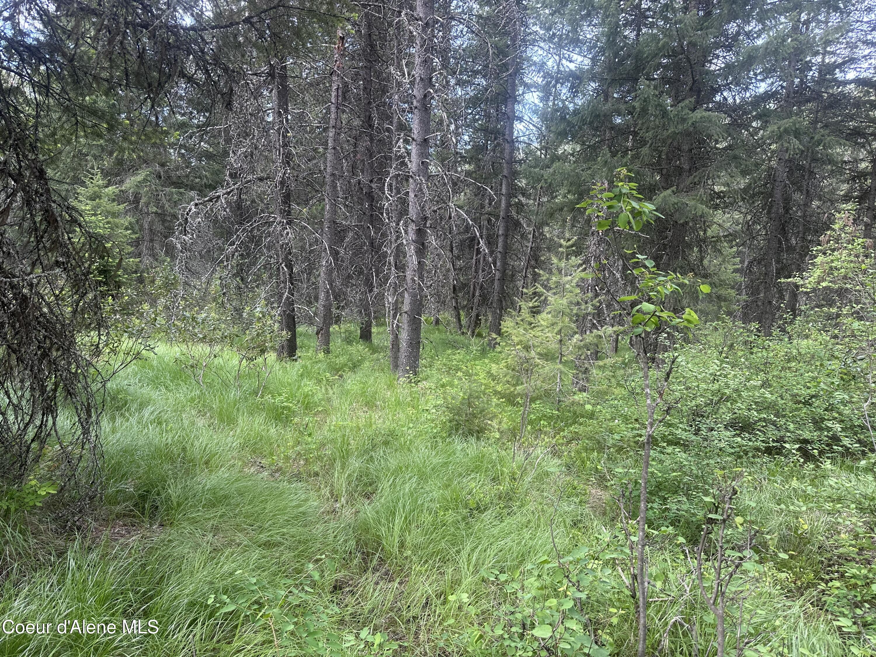 755 Twilight Ln, Sandpoint, Alaska image 6