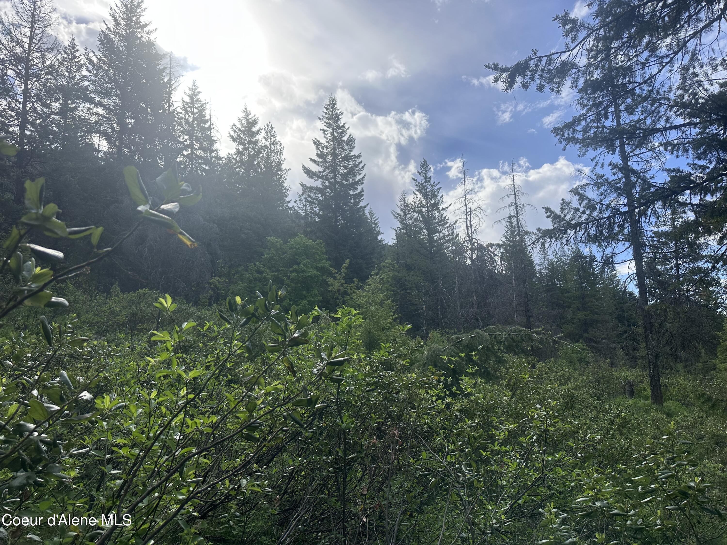 755 Twilight Ln, Sandpoint, Alaska image 3