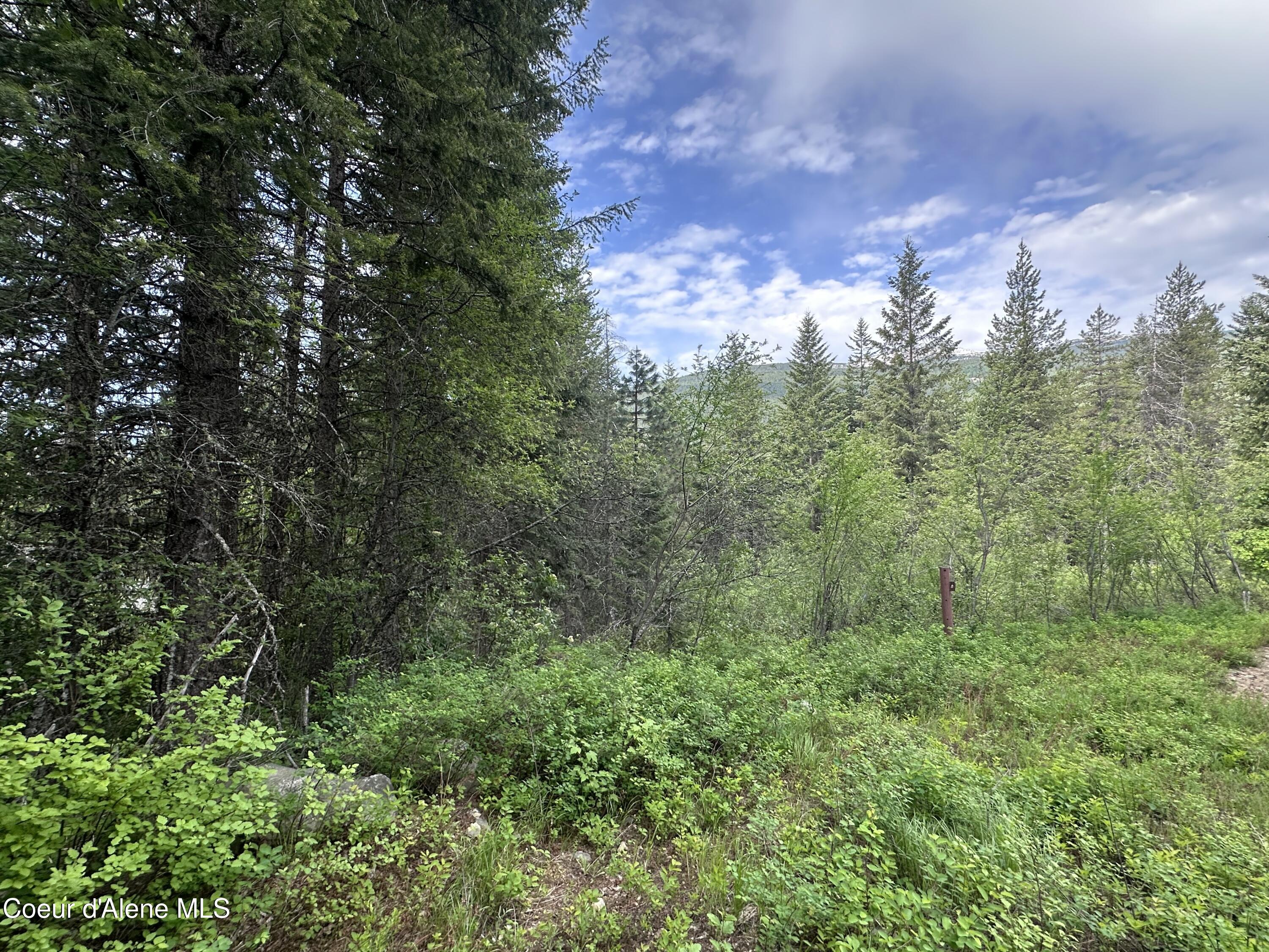 755 Twilight Ln, Sandpoint, Alaska image 4
