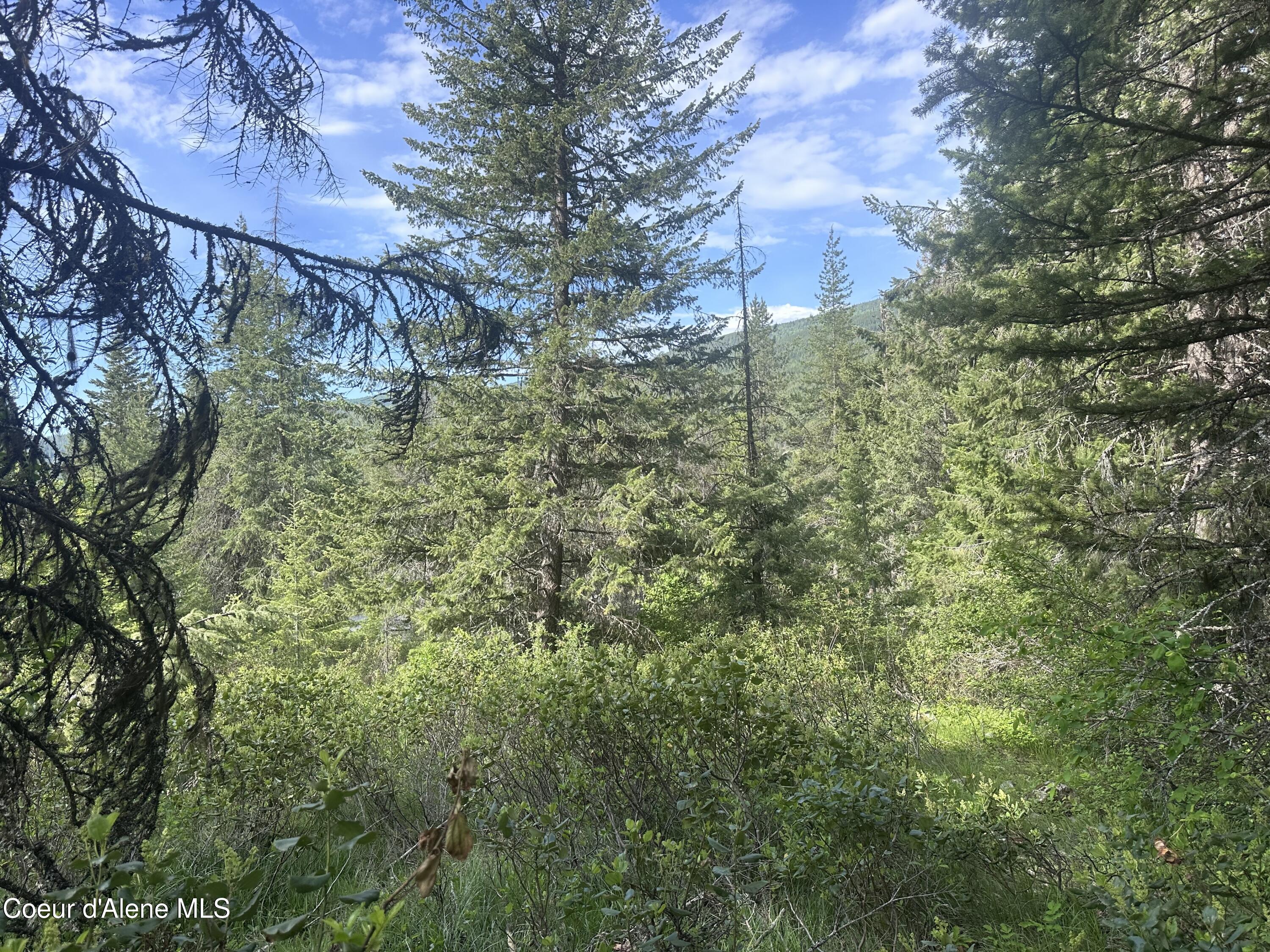 755 Twilight Ln, Sandpoint, Alaska image 7