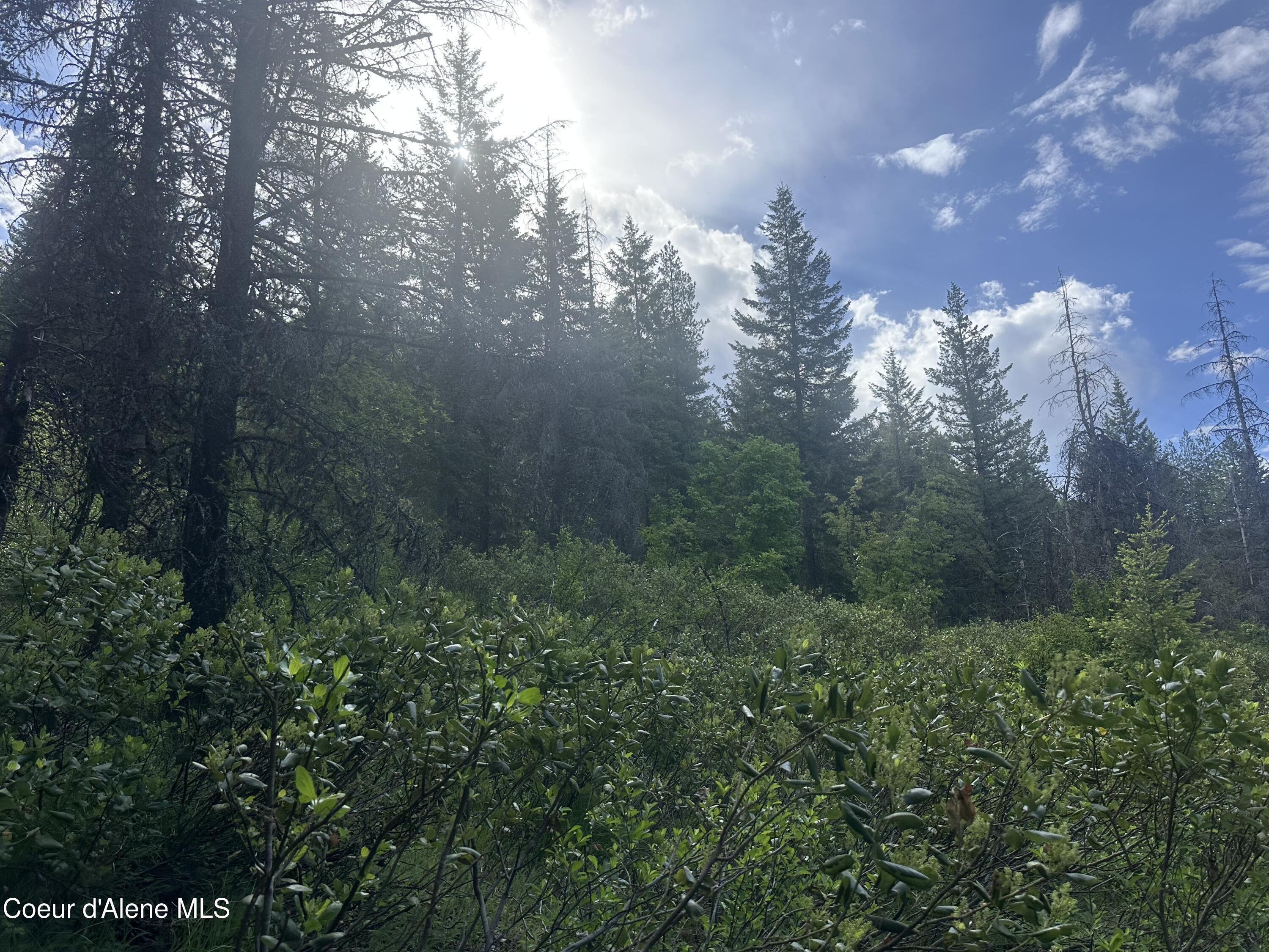 755 Twilight Ln, Sandpoint, Alaska image 12