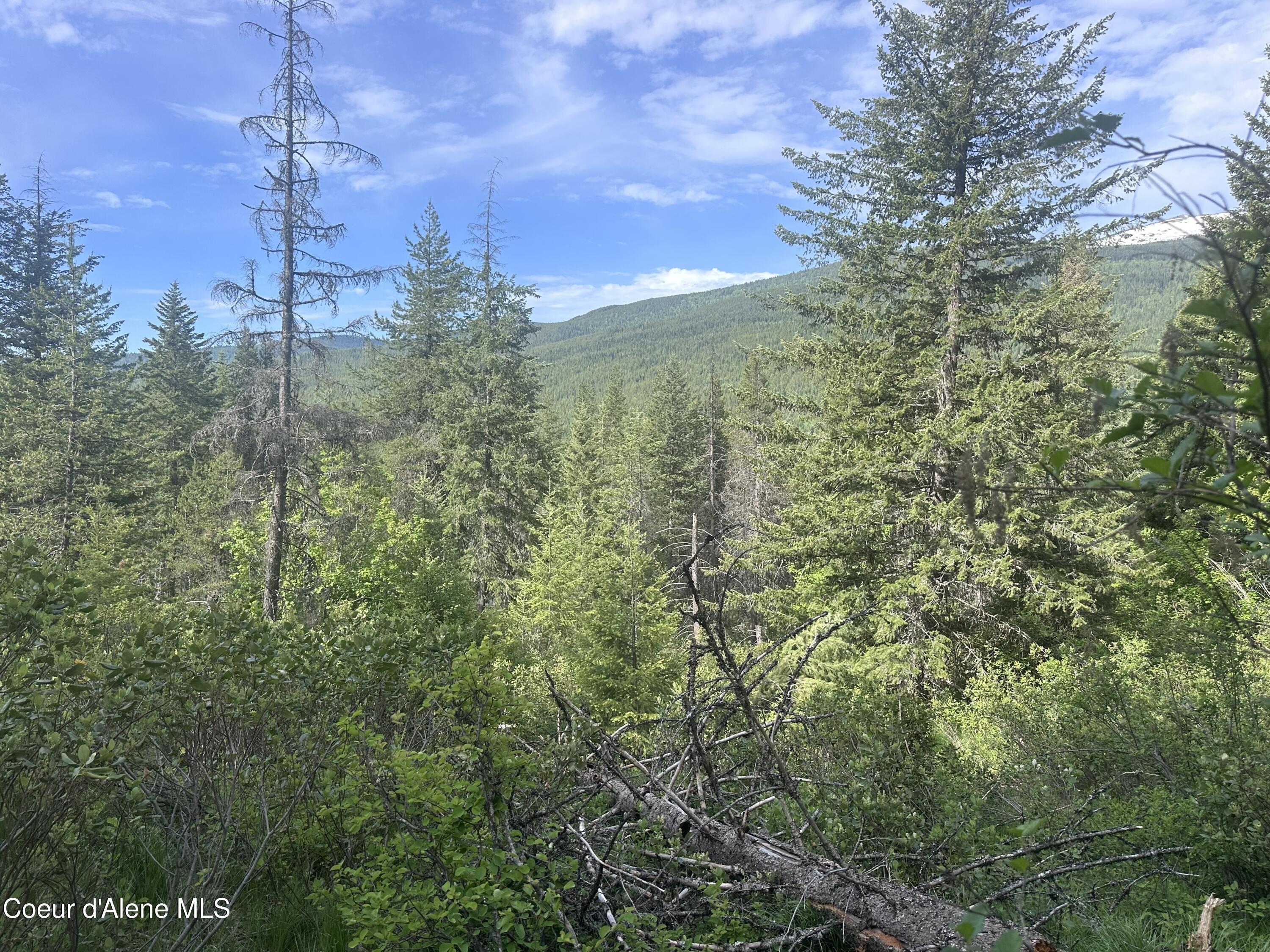 755 Twilight Ln, Sandpoint, Alaska image 8