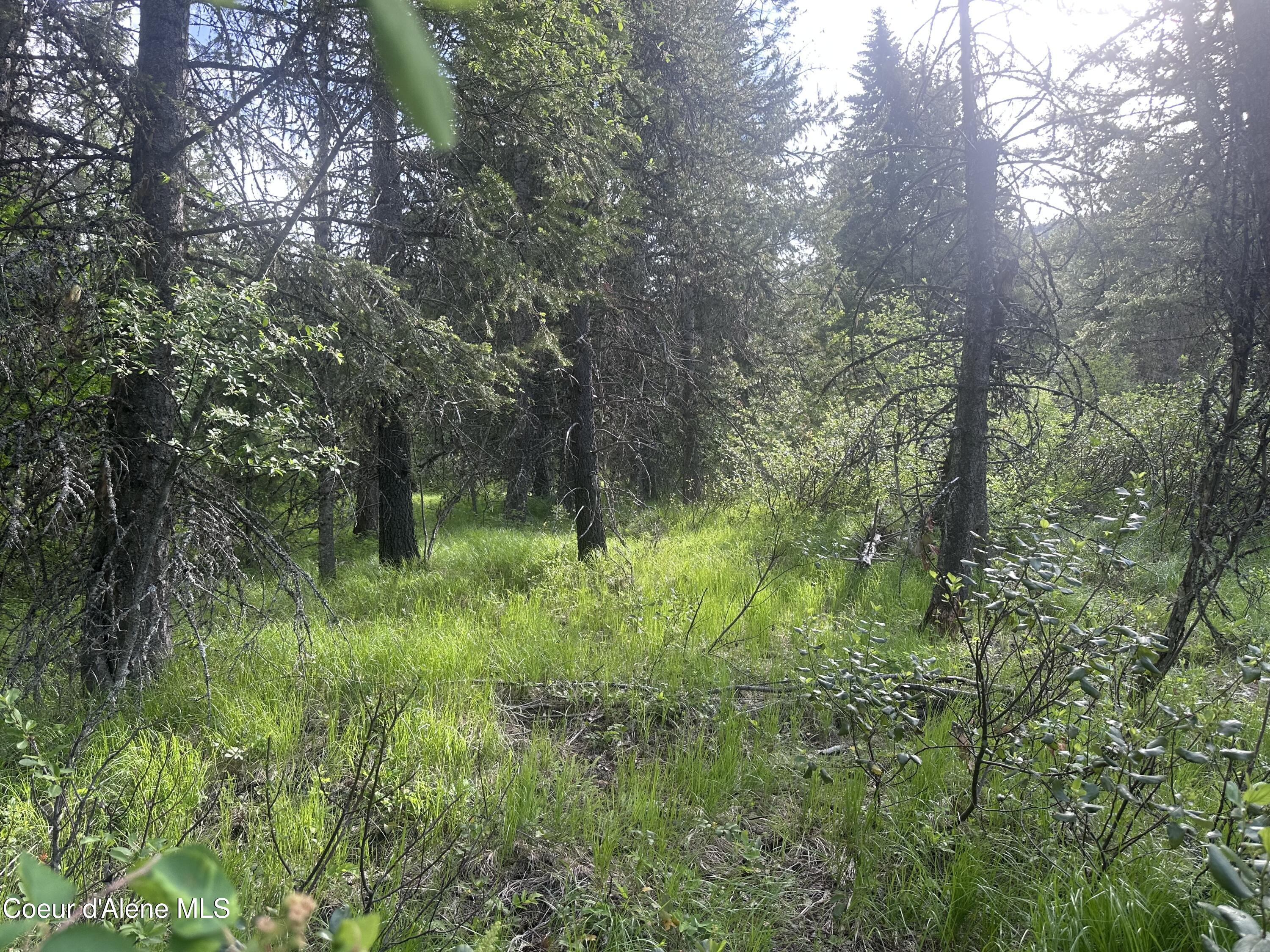 755 Twilight Ln, Sandpoint, Alaska image 10