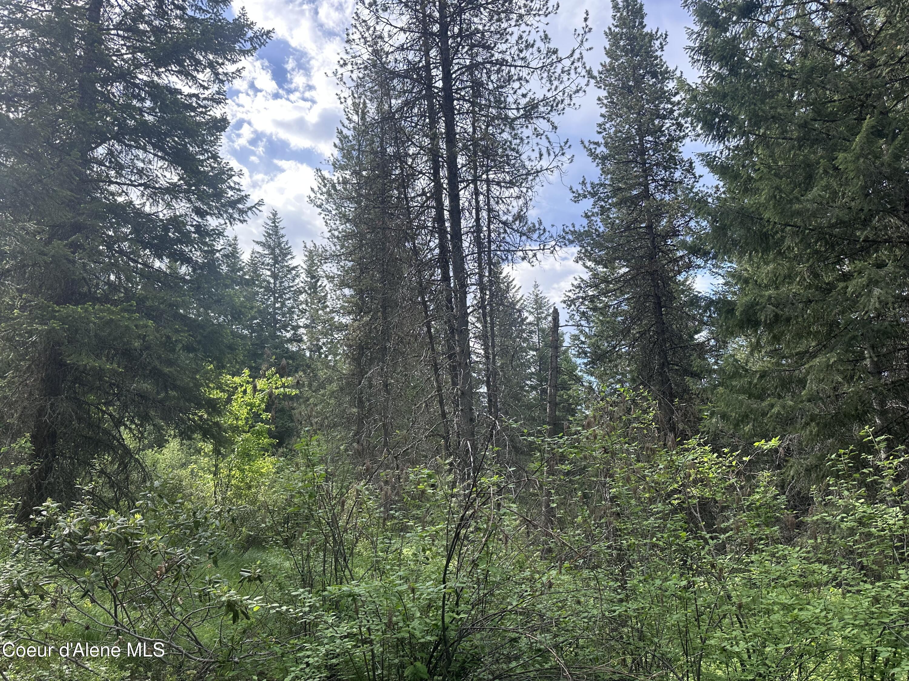 755 Twilight Ln, Sandpoint, Alaska image 11