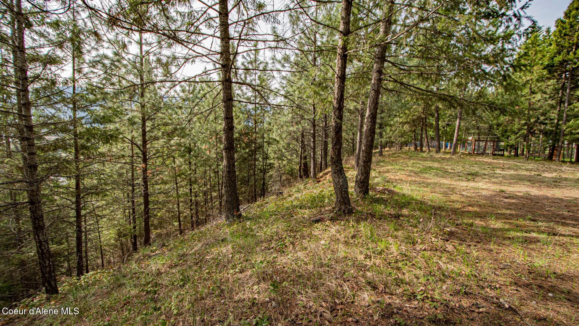 392 Westwood Dr, Moyie Springs, Texas image 38
