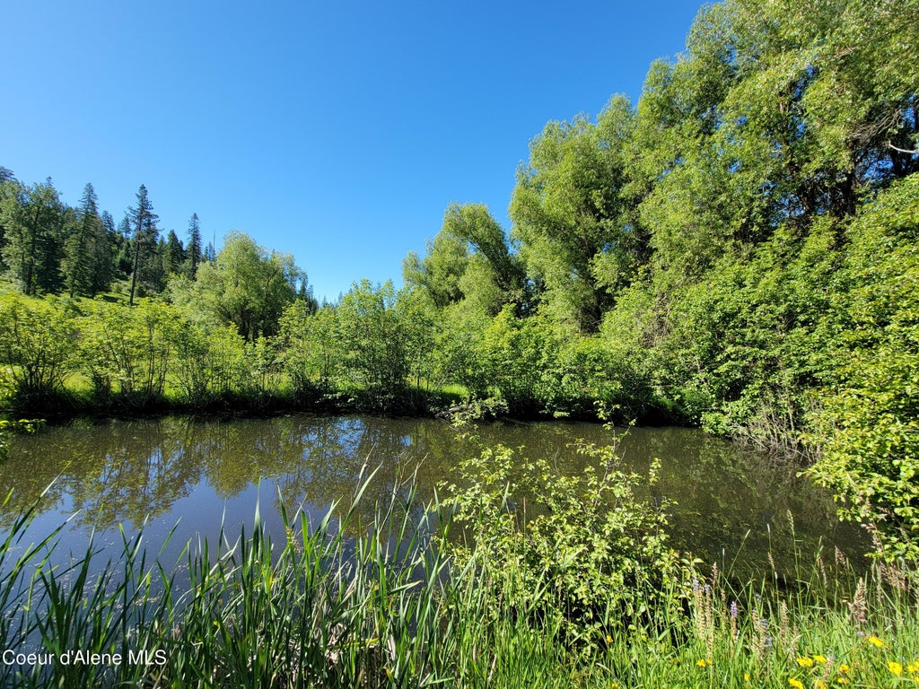 Photo of NKA Tree Farm, Hayden, ID 83835 (MLS # 26-8827)