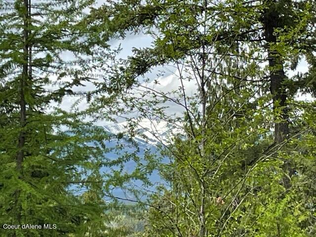 NNA C37 White Cloud Drive, Sandpoint, Idaho image 1