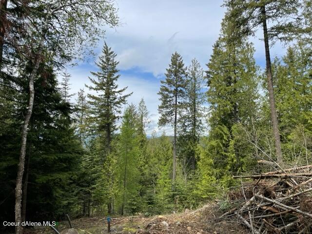 NNA C37 White Cloud Drive, Sandpoint, Idaho image 2
