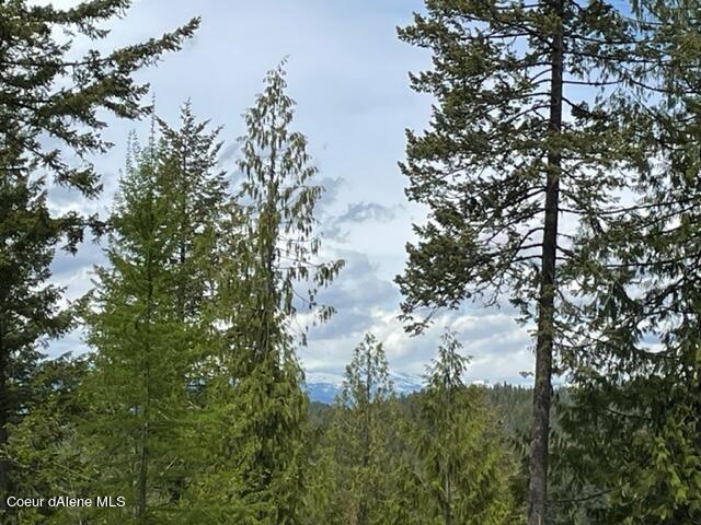 NNA C37 White Cloud Drive, Sandpoint, Idaho image 3