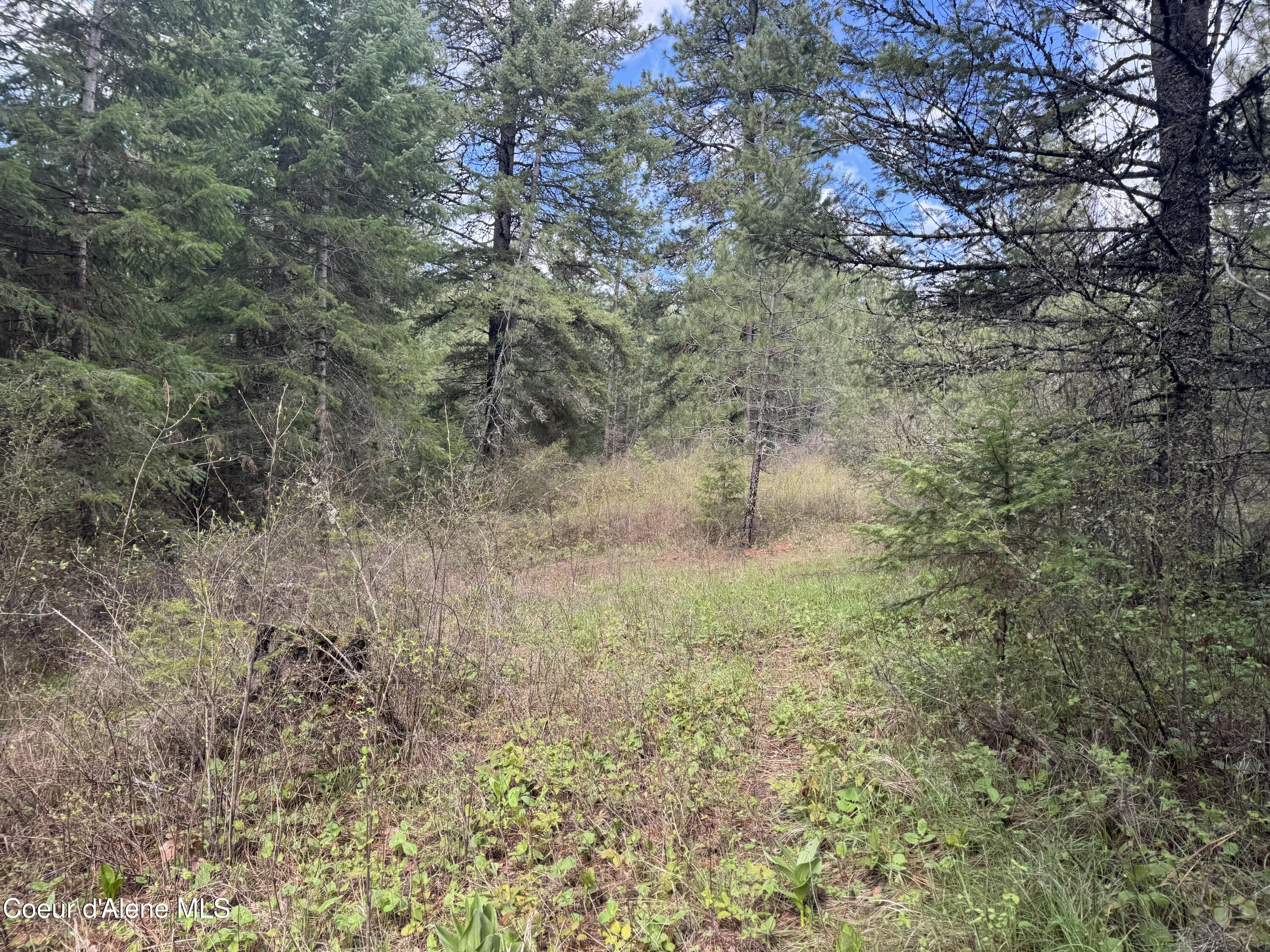 NKA Old Railroad Grade