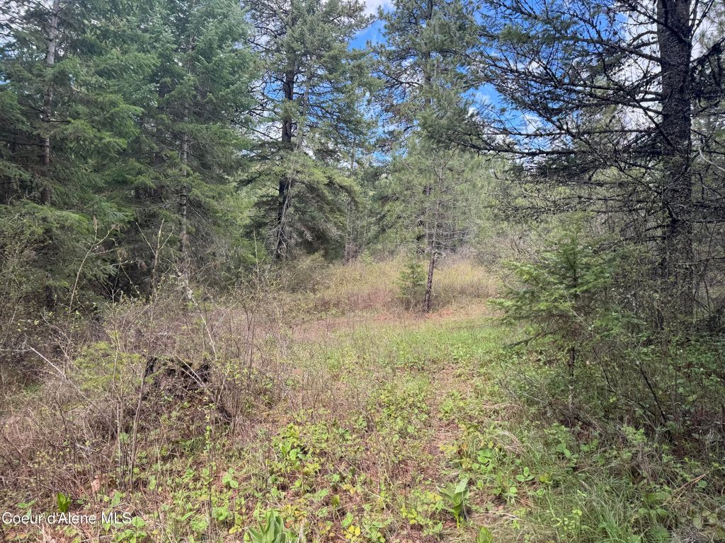 Photo of NKA Old Railroad Grade, Plummer, ID 83851 (MLS # 26-4017)