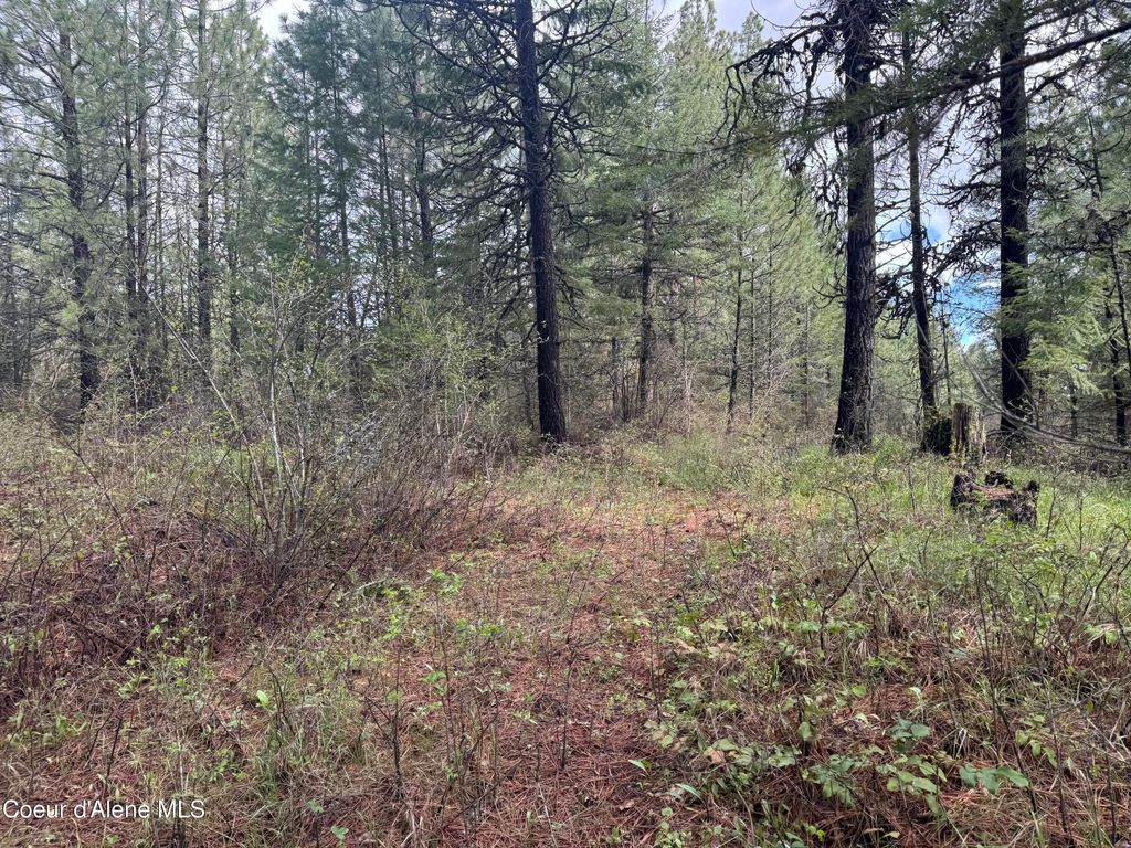 Photo of NKA Old Railroad Grade, Plummer, ID 83851 (MLS # 26-4017)