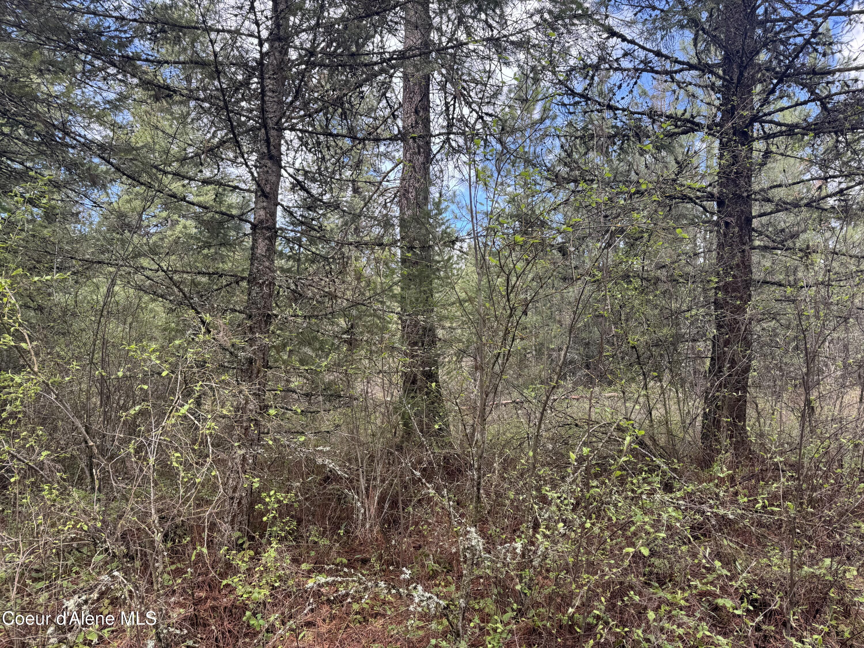 NKA Old Railroad Grade