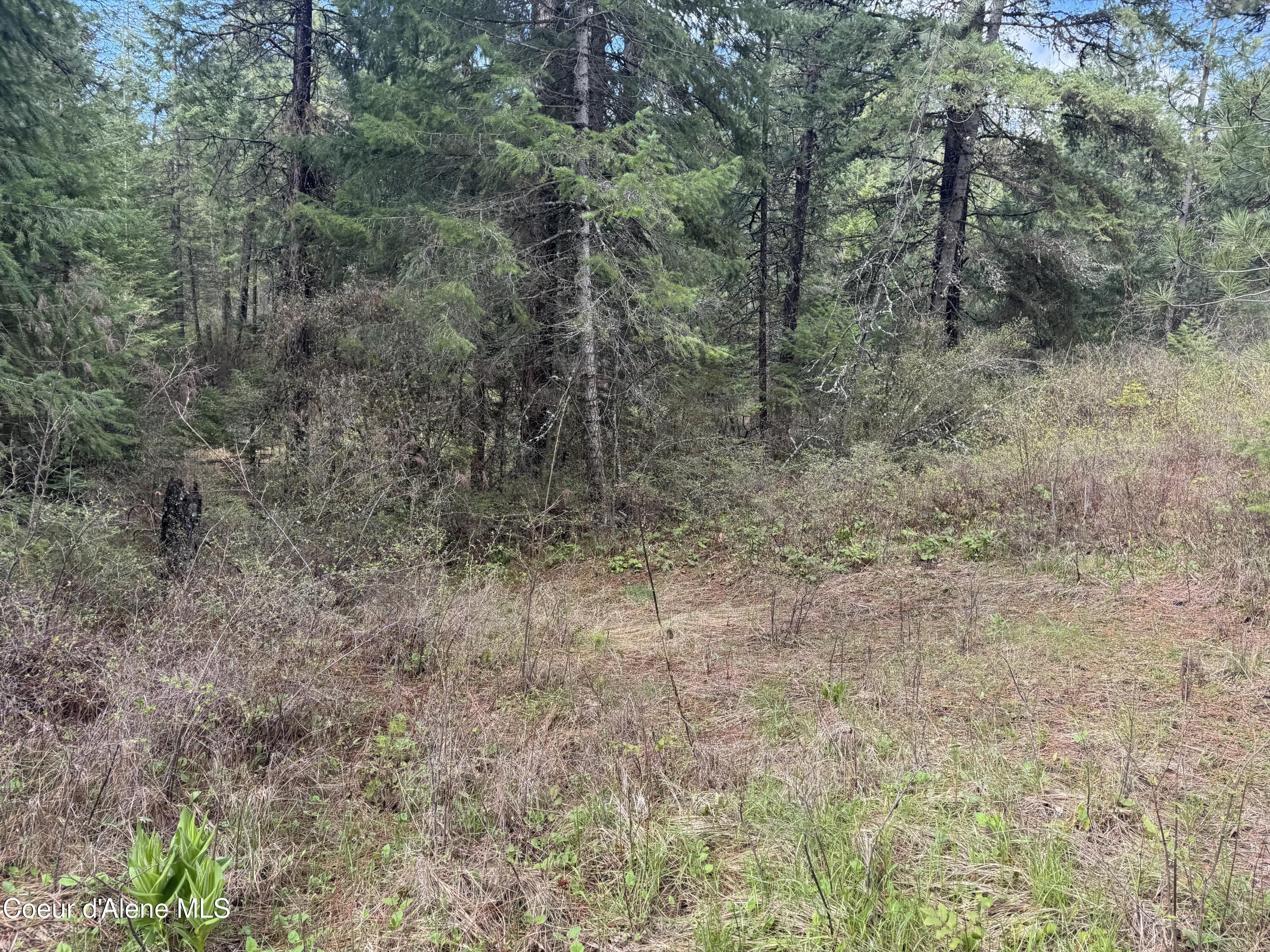 NKA Old Railroad Grade