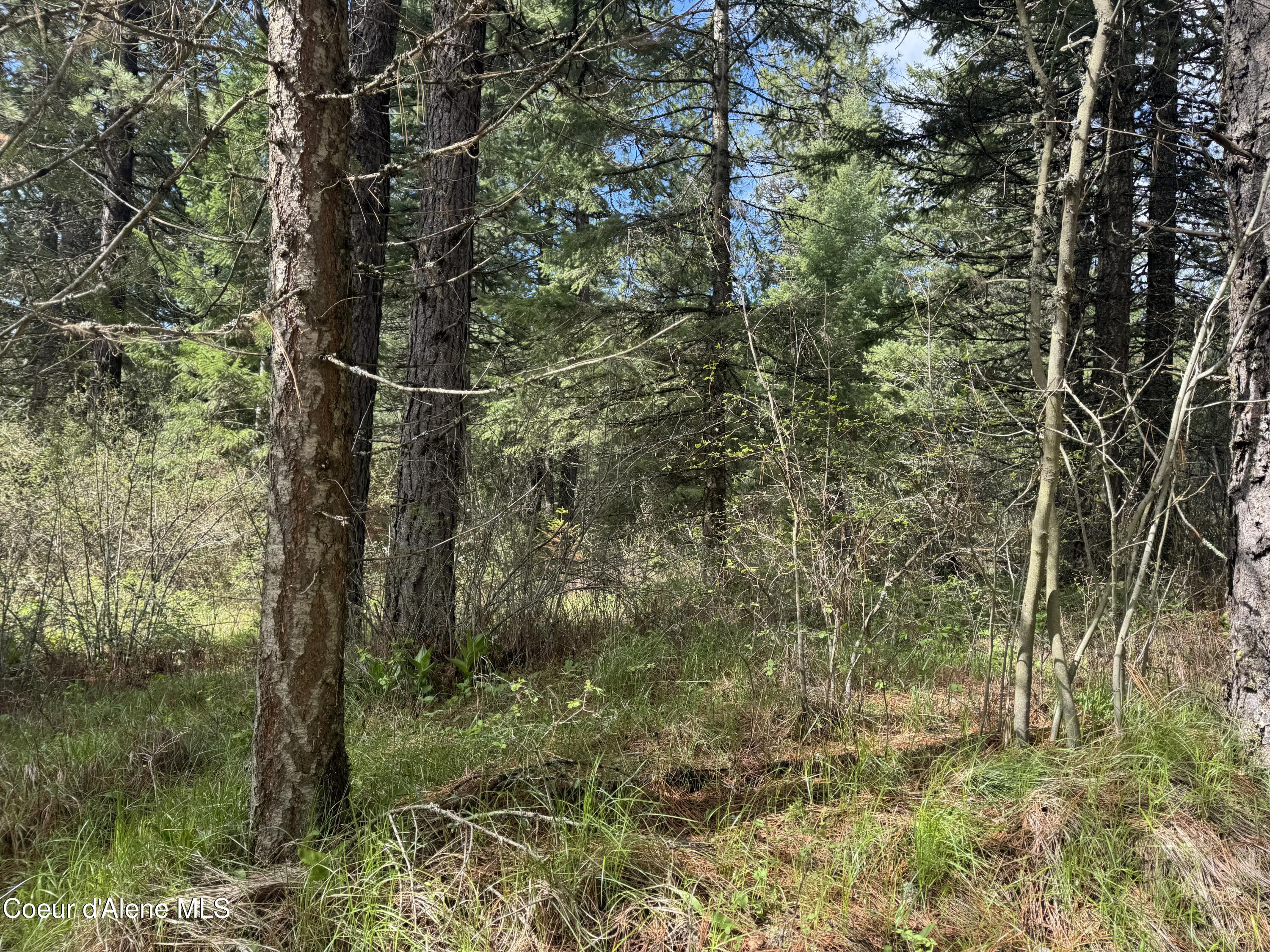 NKA Old Railroad Grade