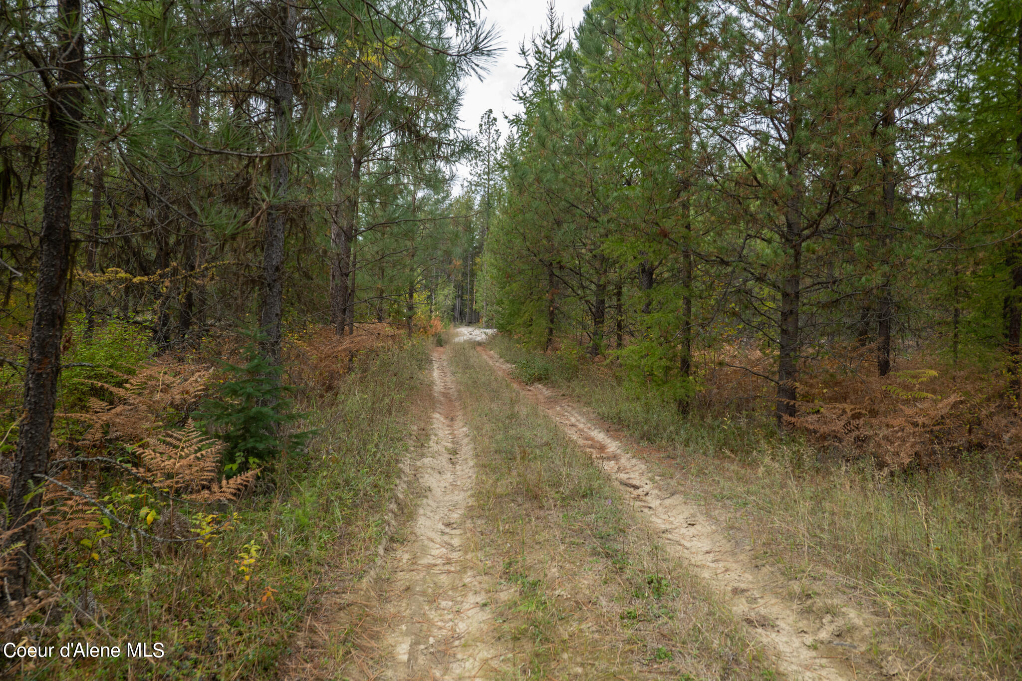 NKA-Lot 1 Highway 2 Rd, Moyie Springs, Idaho image 7