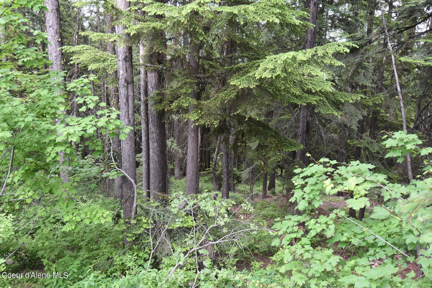 Lot 6 Telemark Rd, Sandpoint, Idaho image 9