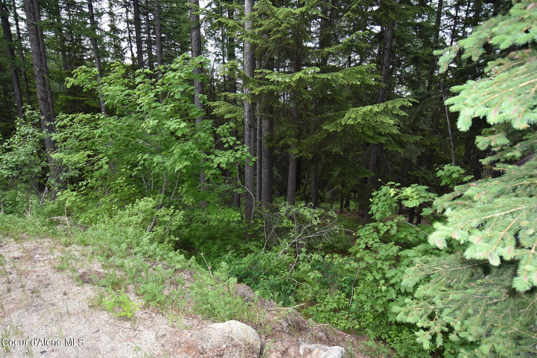 Lot 6 Telemark Rd, Sandpoint, Idaho image 4