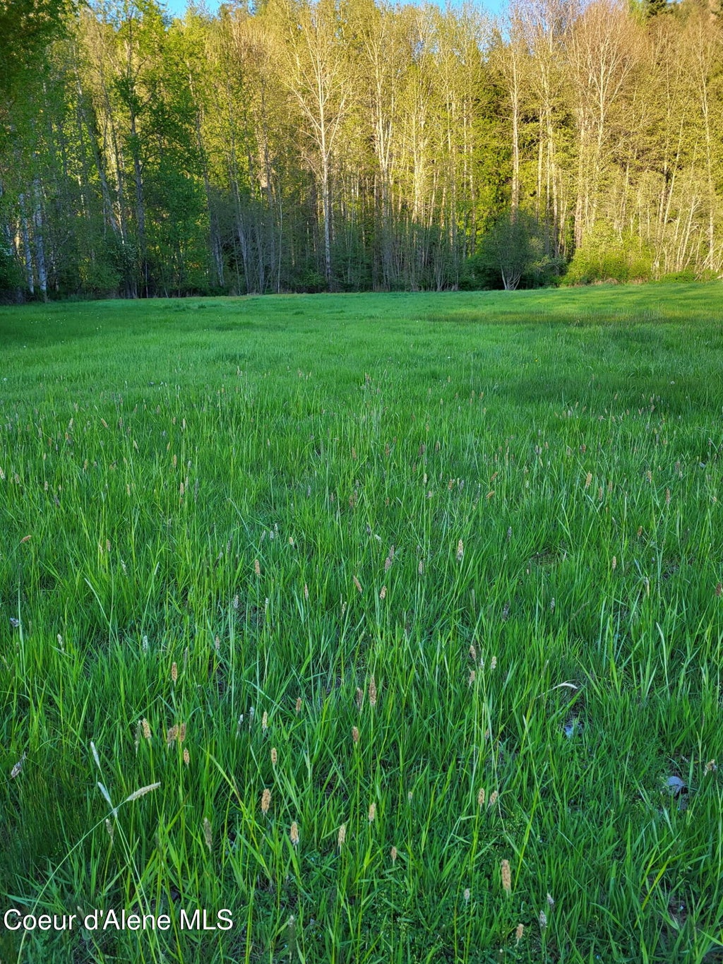 Photo of 5101 Deep Creek Creek, Bonners Ferry, ID 83805 (MLS # 26-9578)
