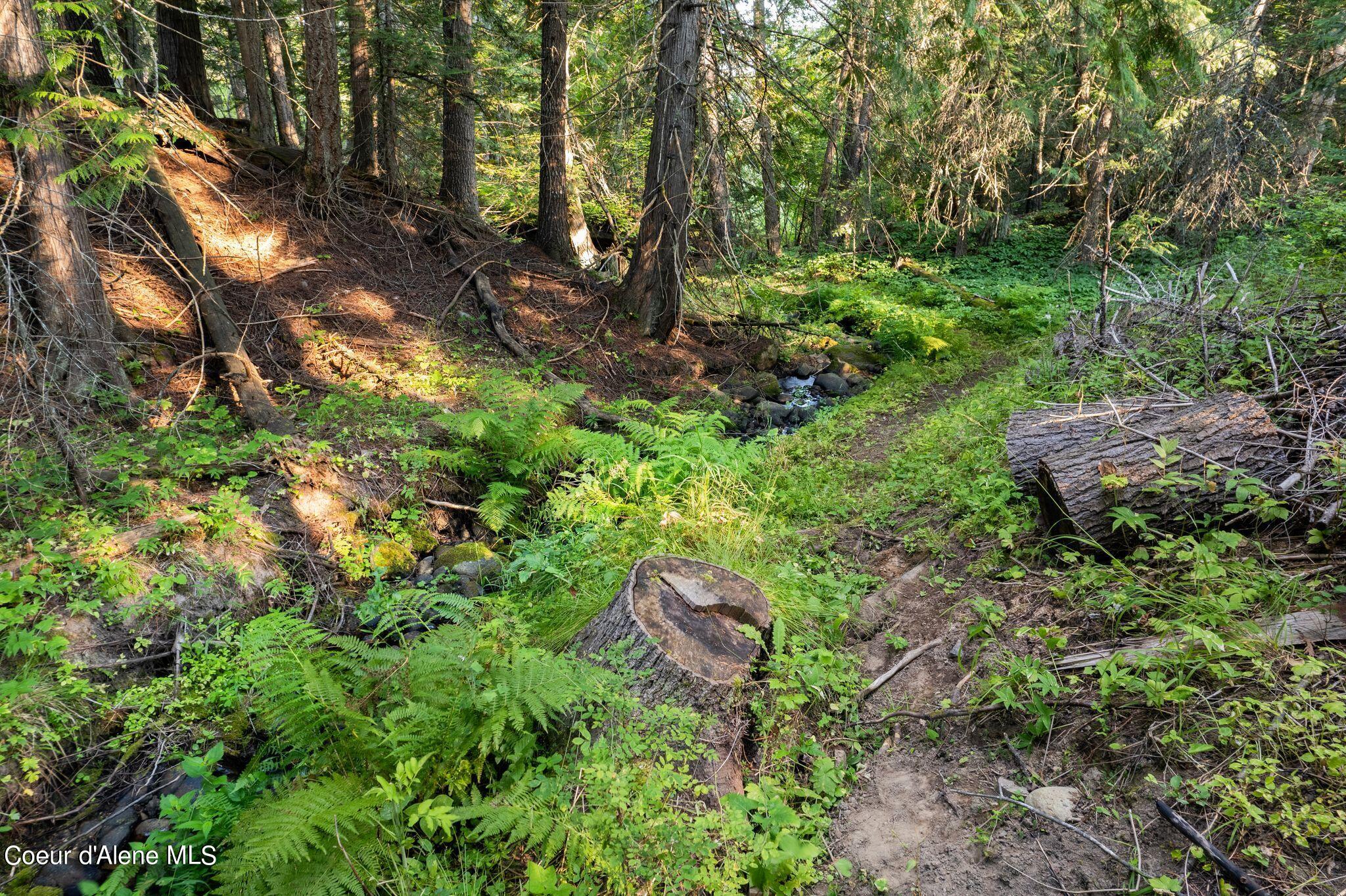 315 Wildberry Ln #80, Sagle, Alaska image 37