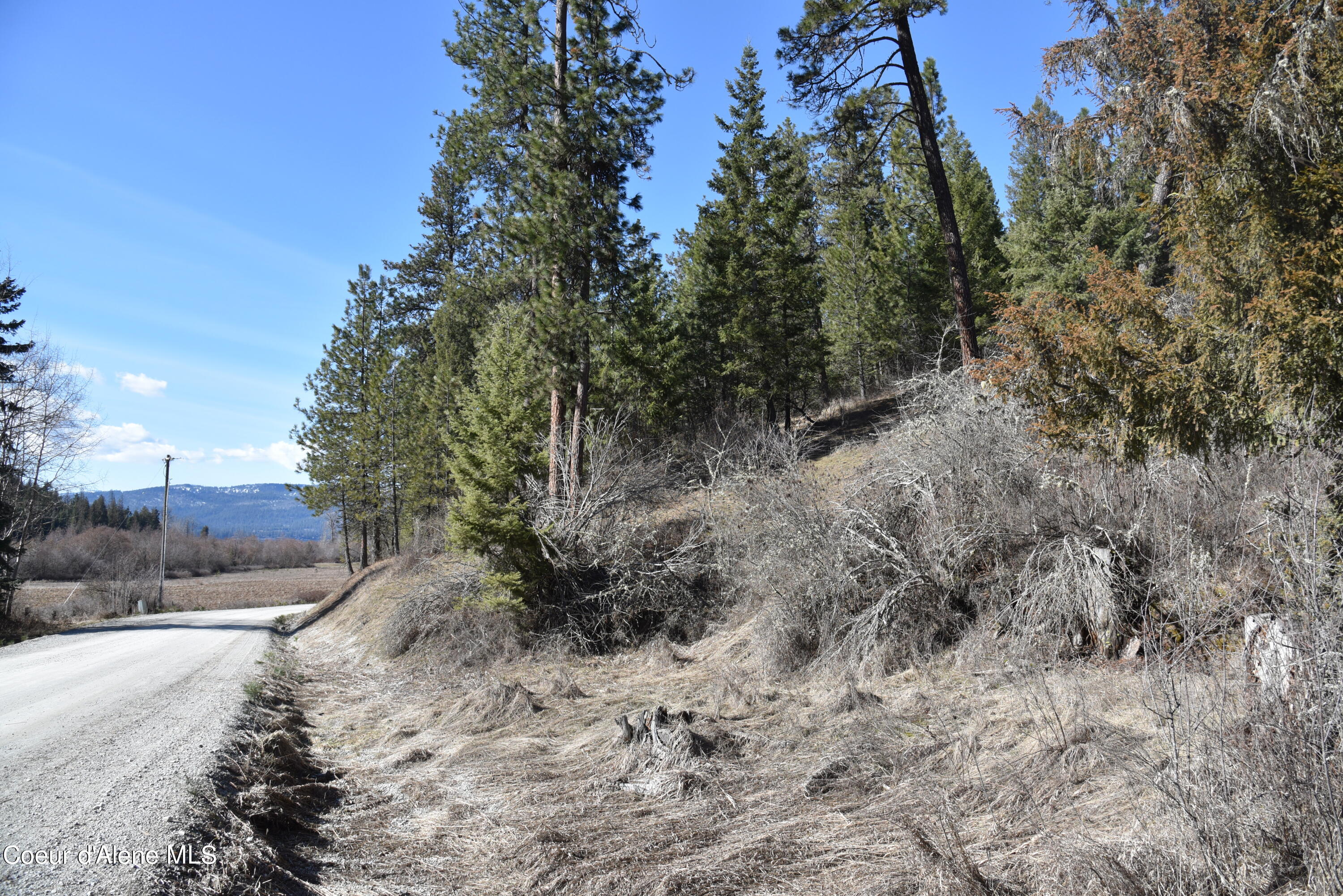 NNA S Elk Rd, Harrison, Idaho image 8