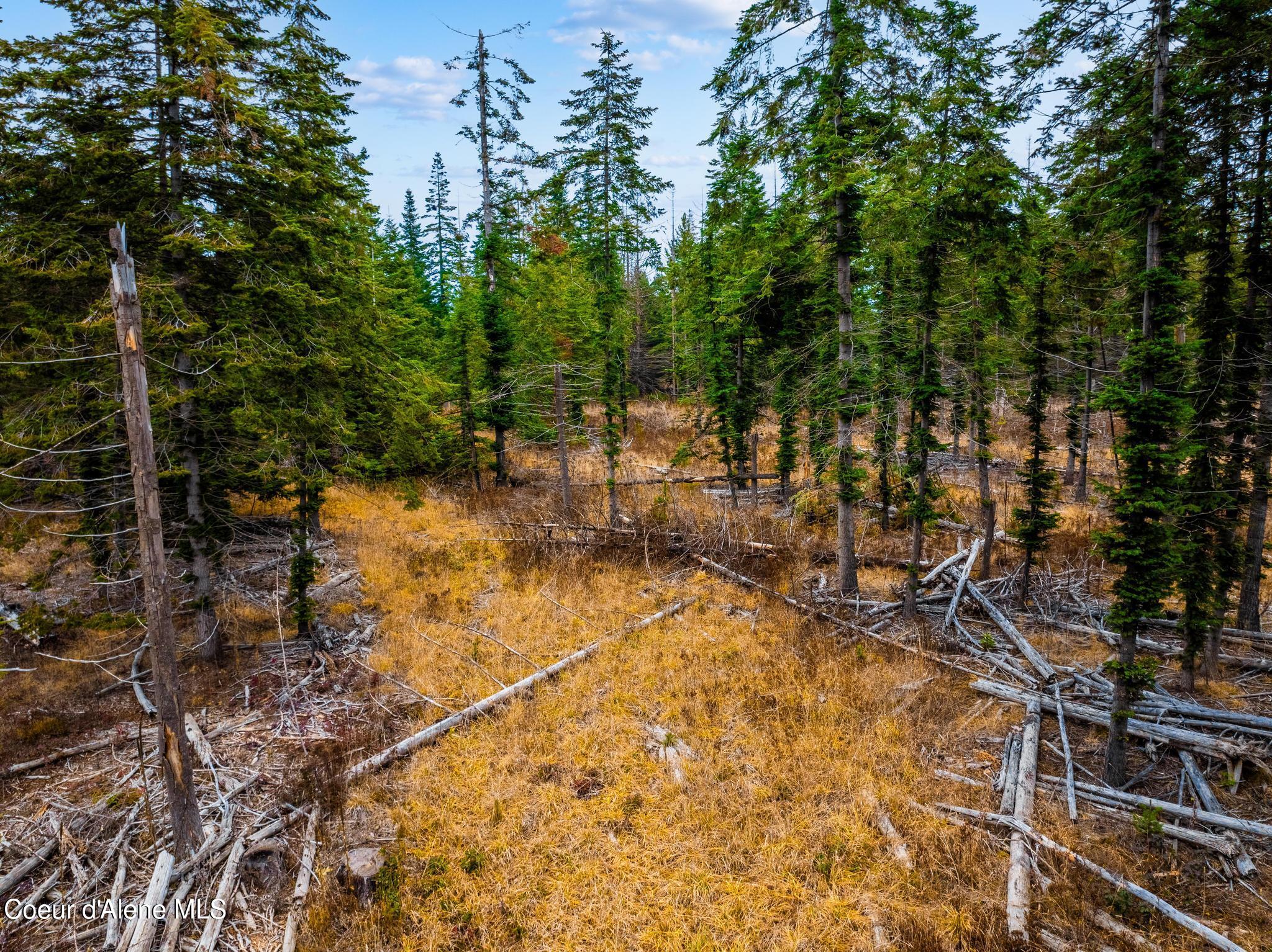 Lot12Blk1 E Sedgwick Ln, Athol, Idaho image 12