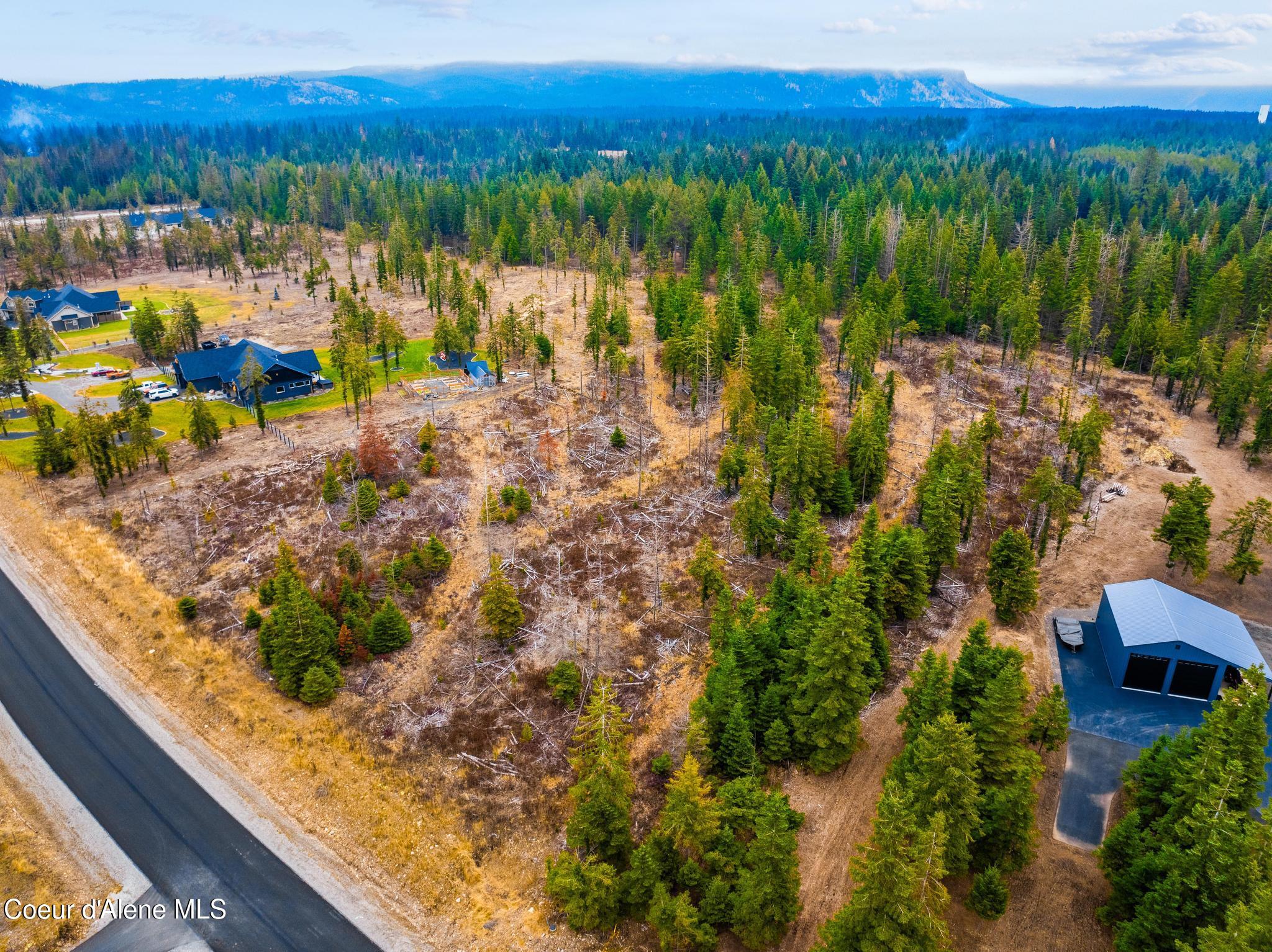 Lot12Blk1 E Sedgwick Ln, Athol, Idaho image 2